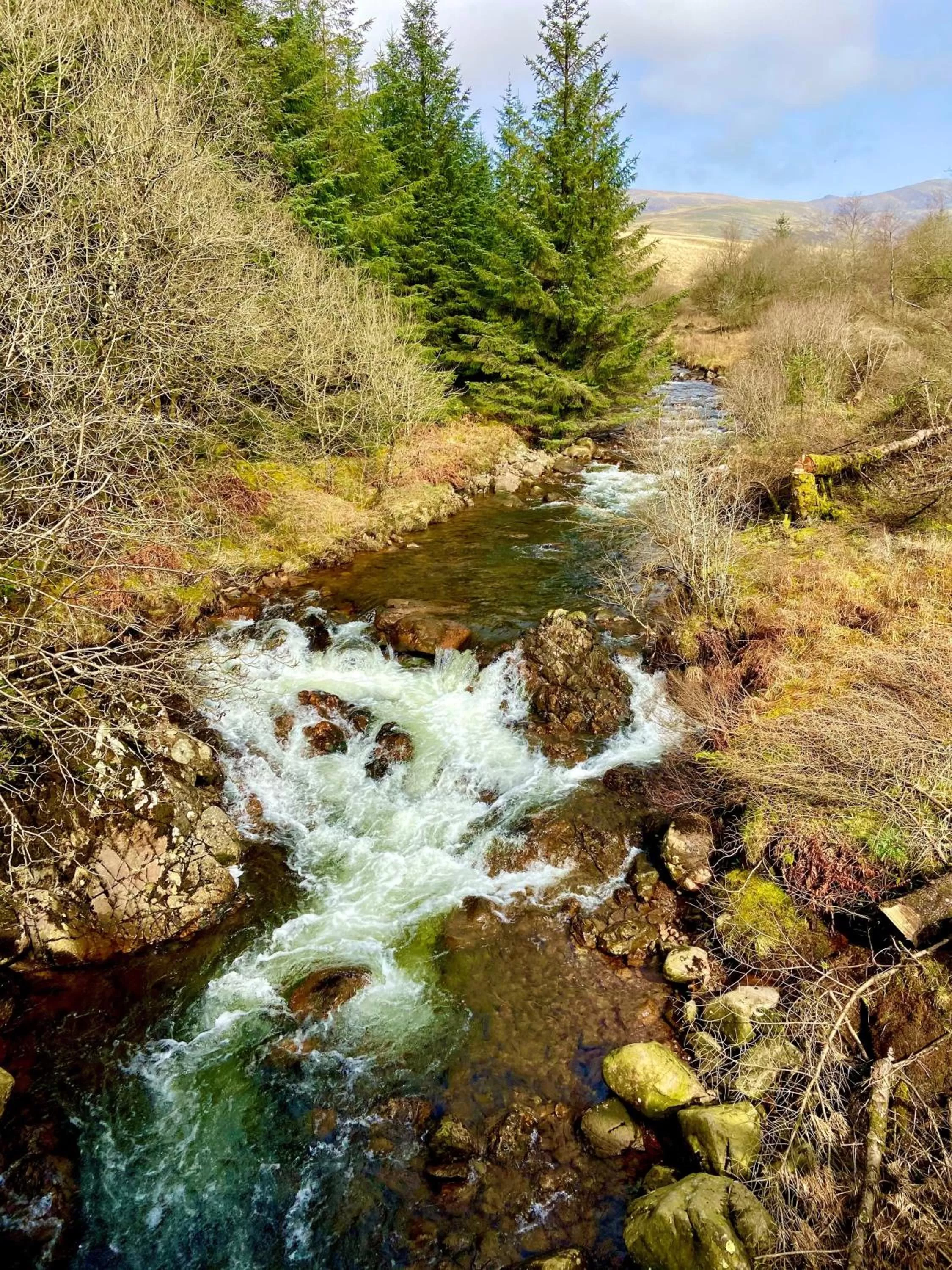 Natural landscape in Cumbrian Lodge