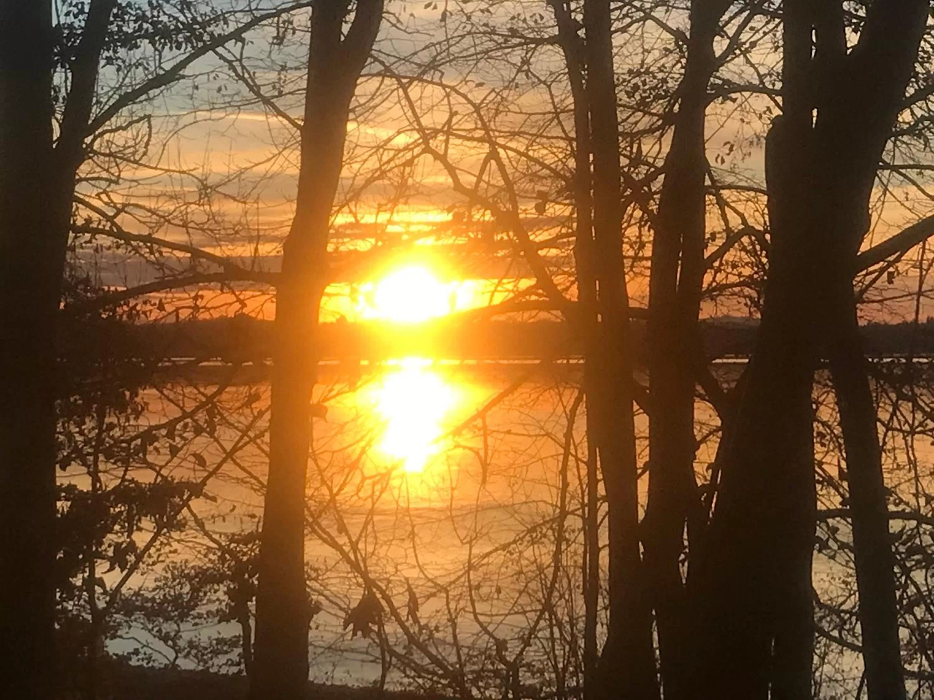 Natural landscape in Bed and Breakfast Bavaria München
