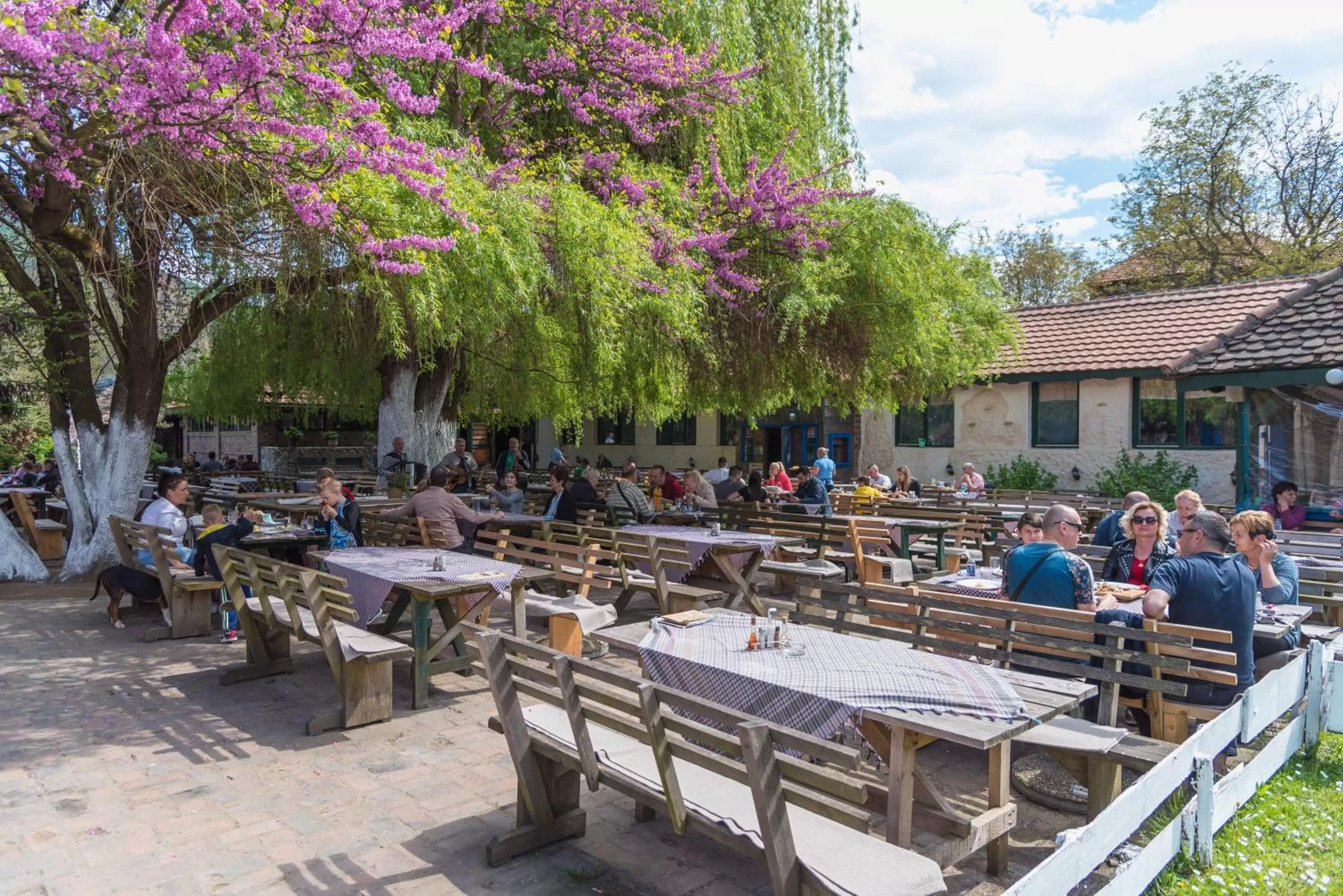 Restaurant/Places to Eat in B&B Etno Village Sunčana Reka