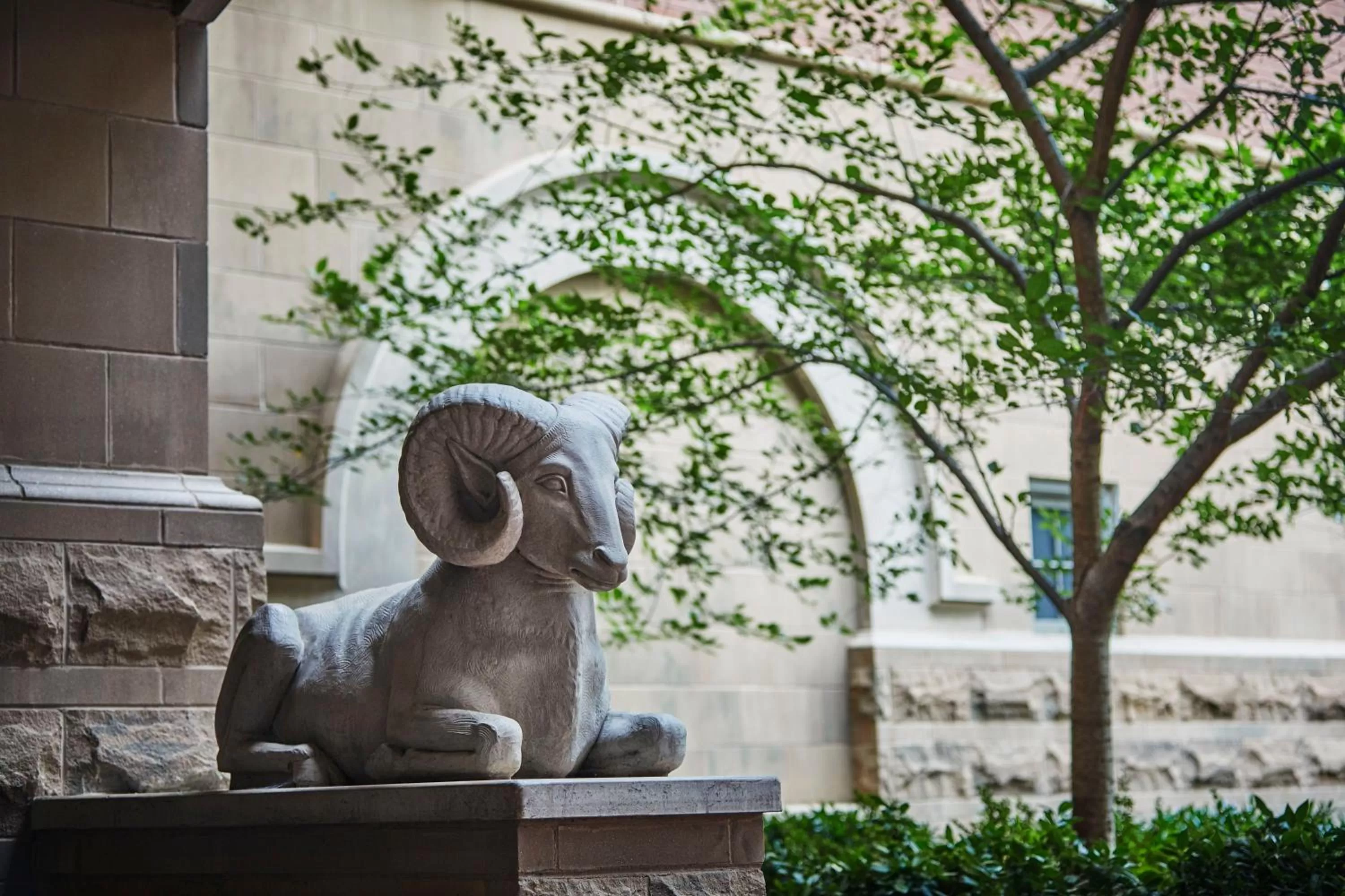 Neighbourhood in Graduate by Hilton Richmond