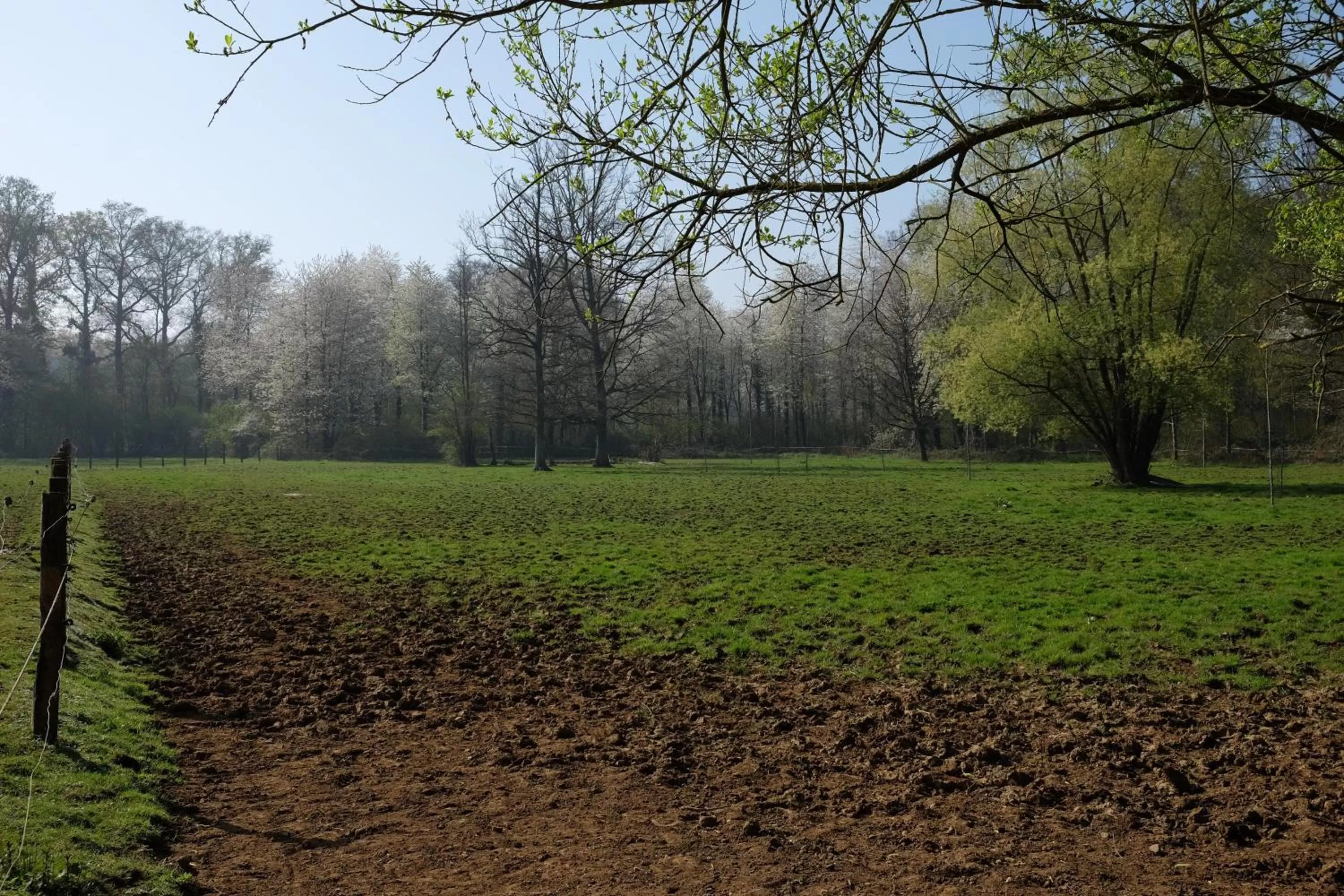 Neighbourhood in B&B Silentium