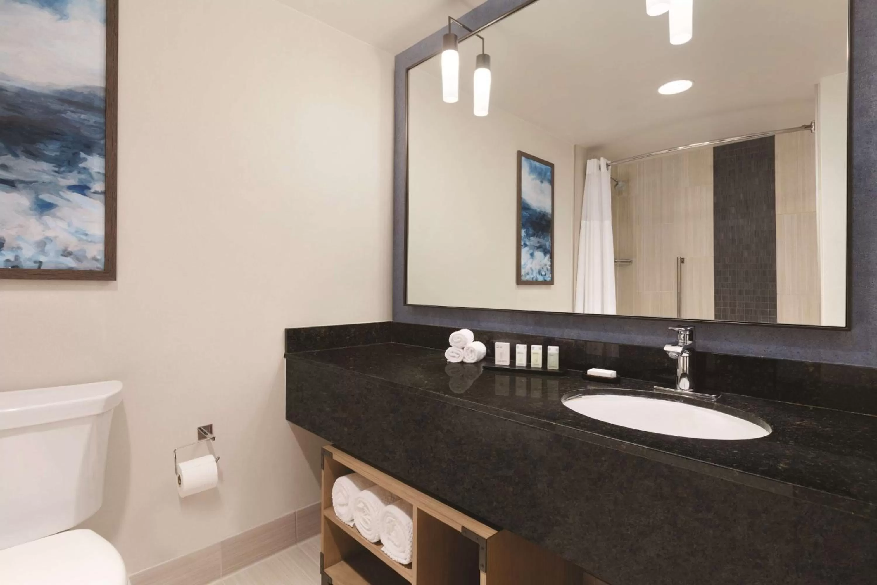 Bathroom in Embassy Suites by Hilton Monterey Bay Seaside