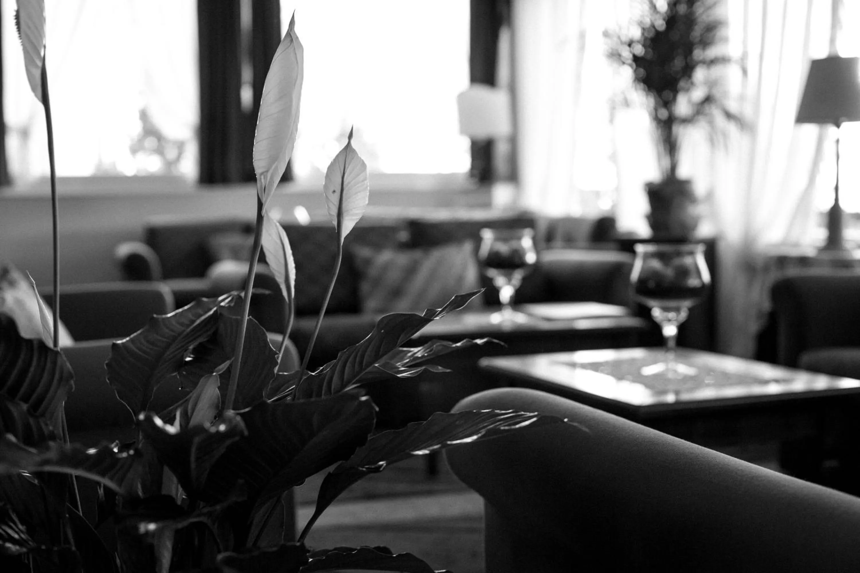 Lounge or bar in Hotel Ariston