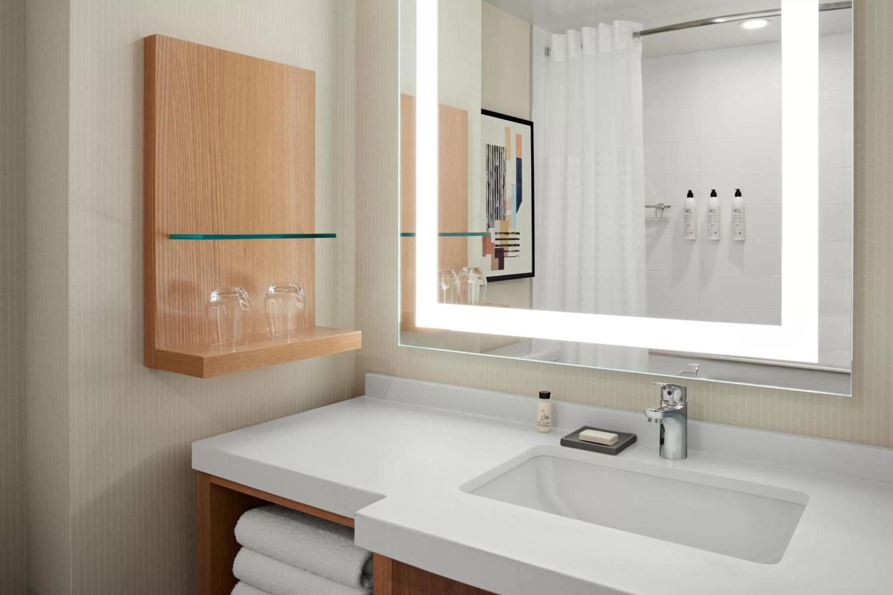 Bathroom in Delta Hotels Calgary Airport In-Terminal