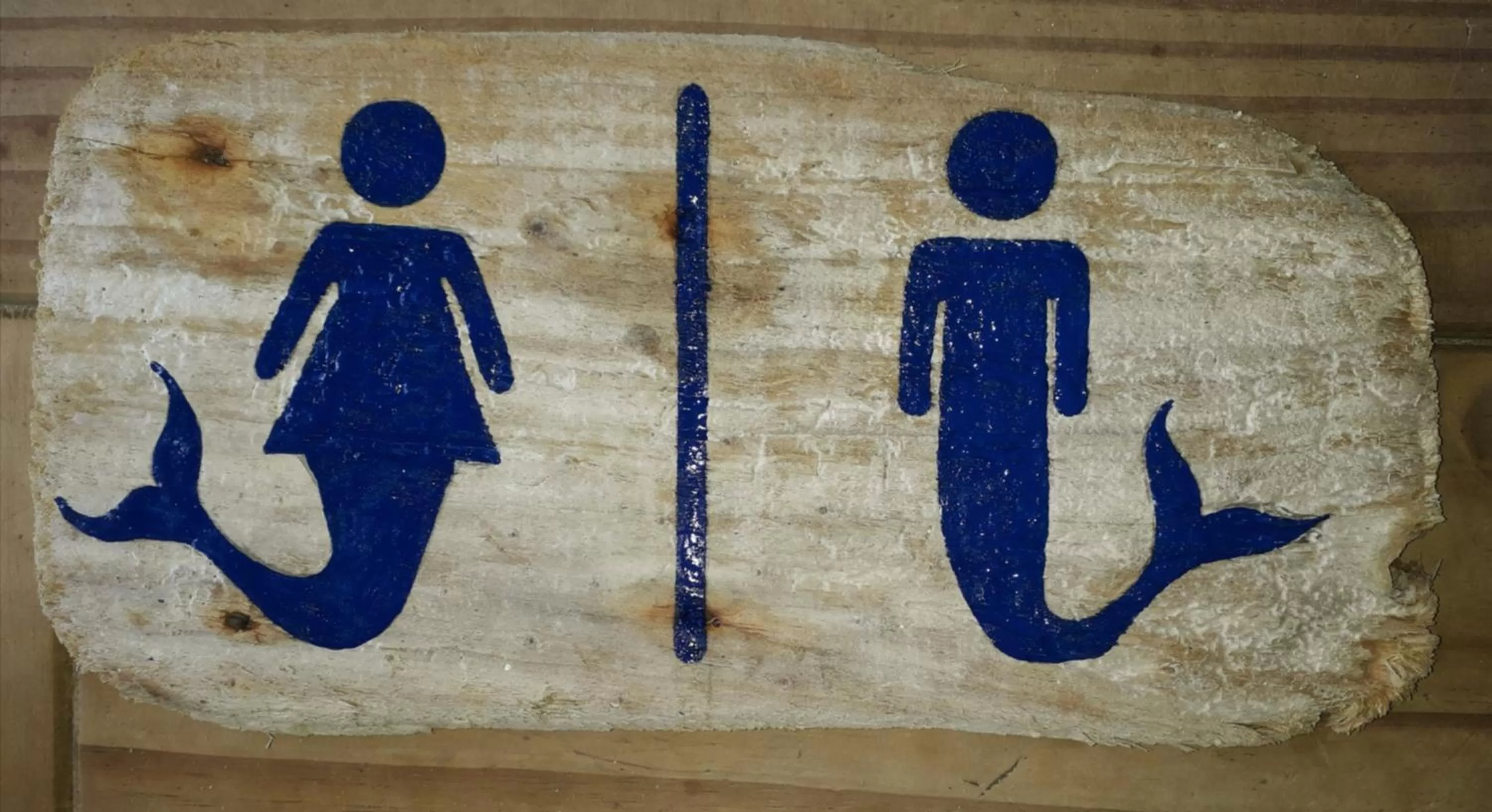 Decorative detail in B&B Sereia Azul Boa Vista