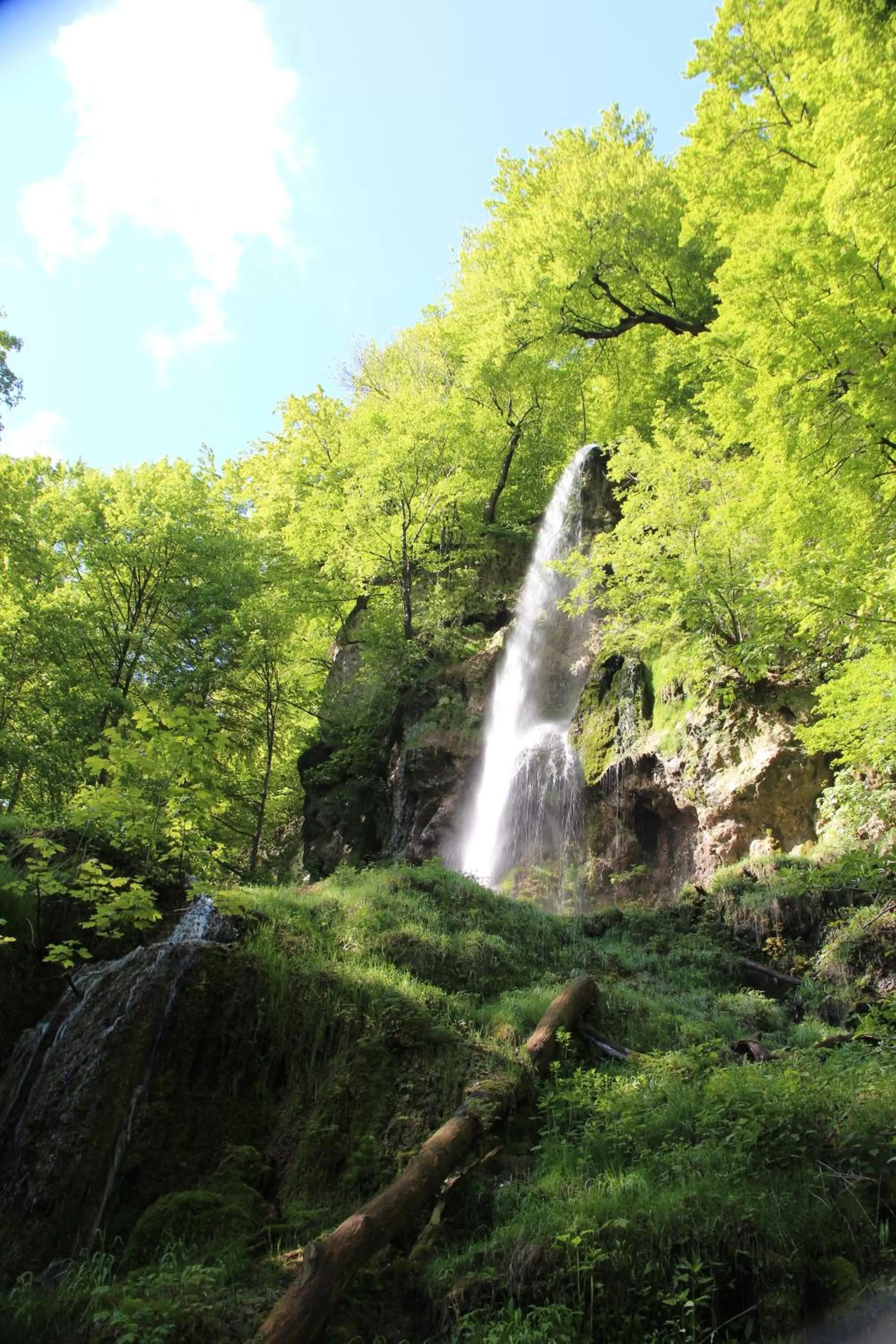 Natural landscape in Hotel Graf Eberhard