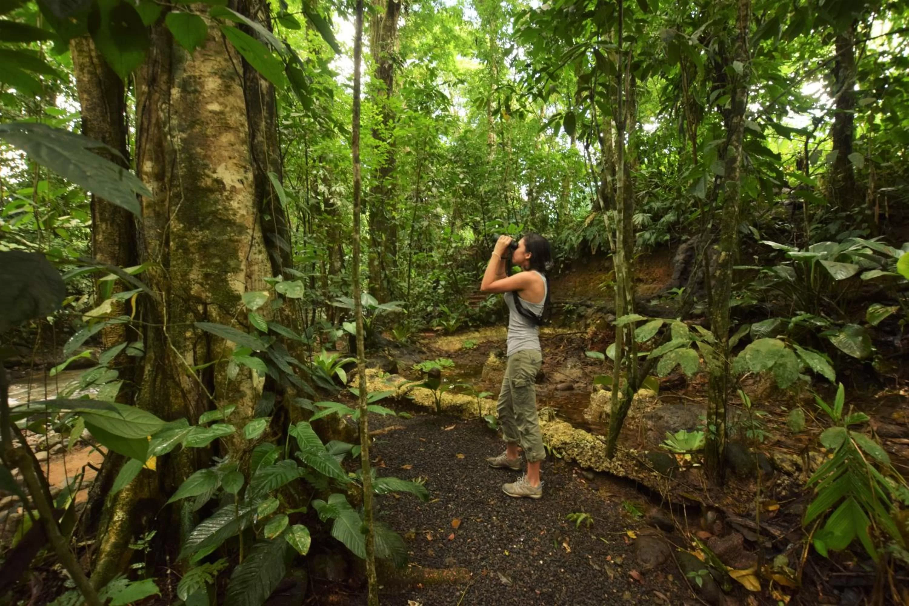 Activities in Cabañas del Rio