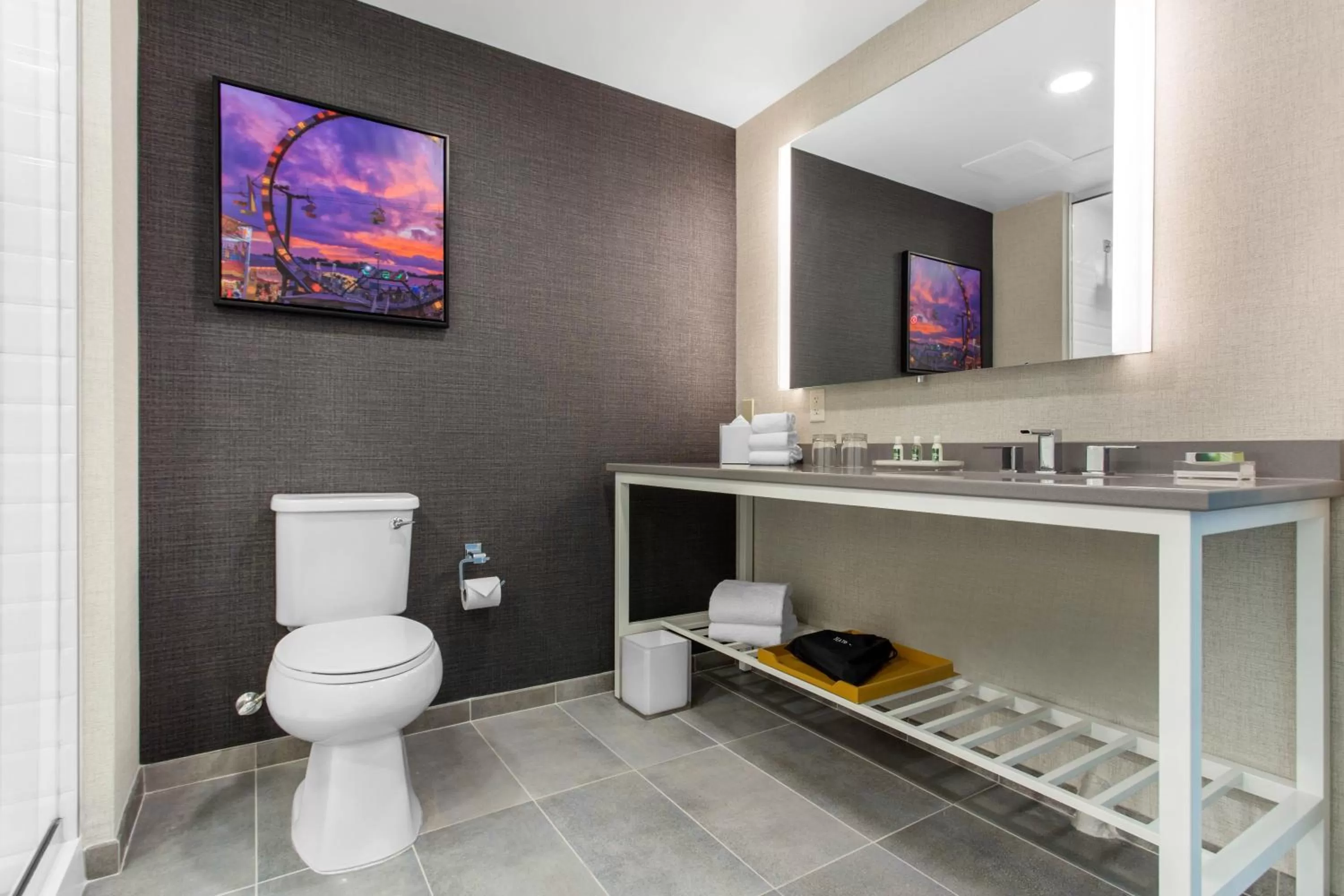 Bathroom in Cambria Hotel Downtown Asheville