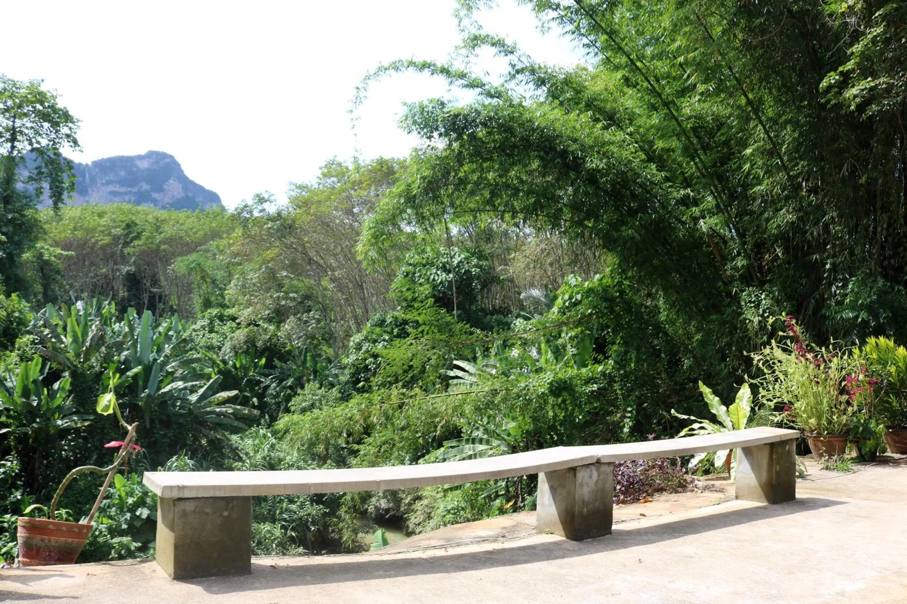 View (from property/room) in Khao Sok River Home Resort