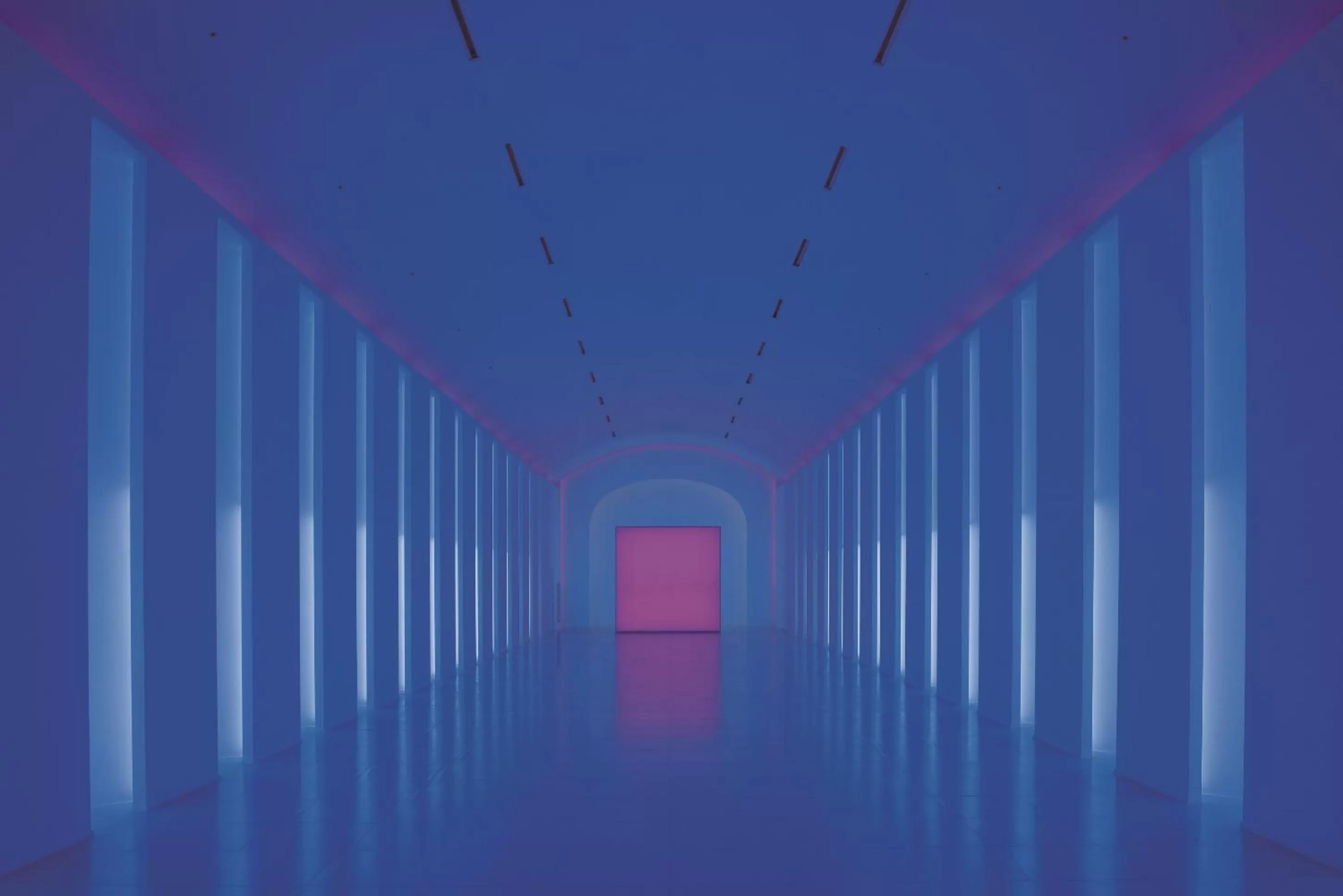 Area and facilities in Paradise City