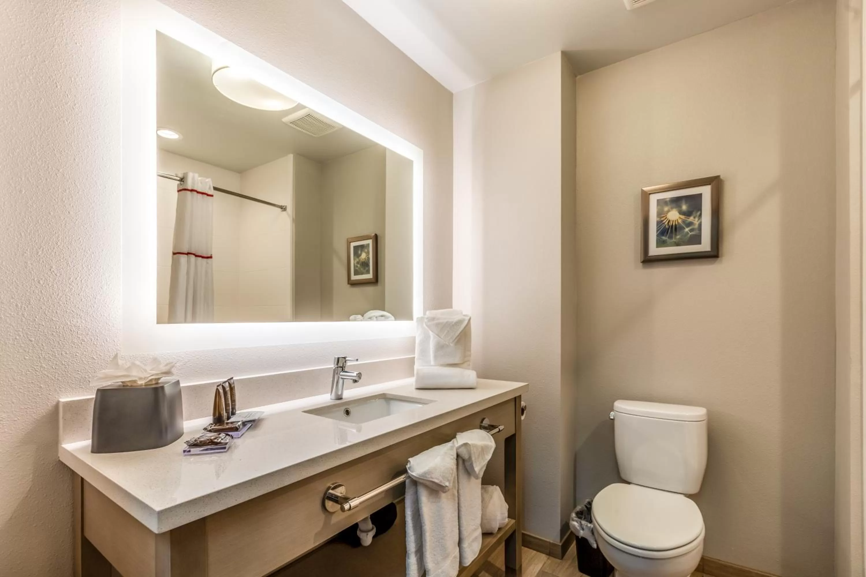 Shower in Hawthorn Extended Stay by Wyndham Loveland