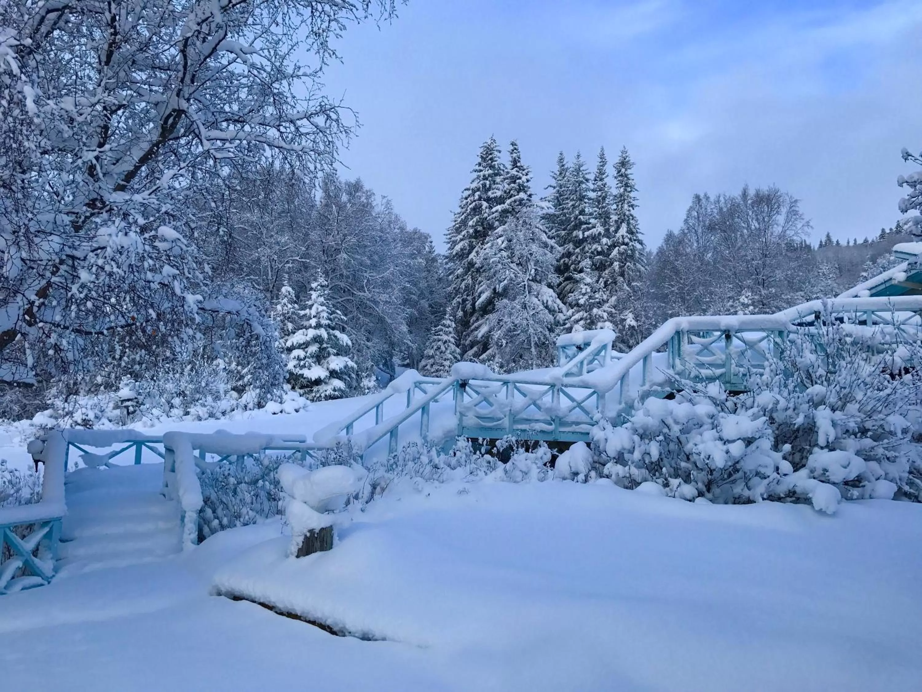 Patio, Winter in Halcyon Heights B&B/Inn