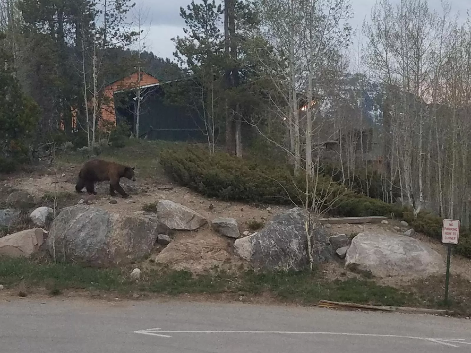 Animals, Other Animals in Western Riviera Lakeside Lodging