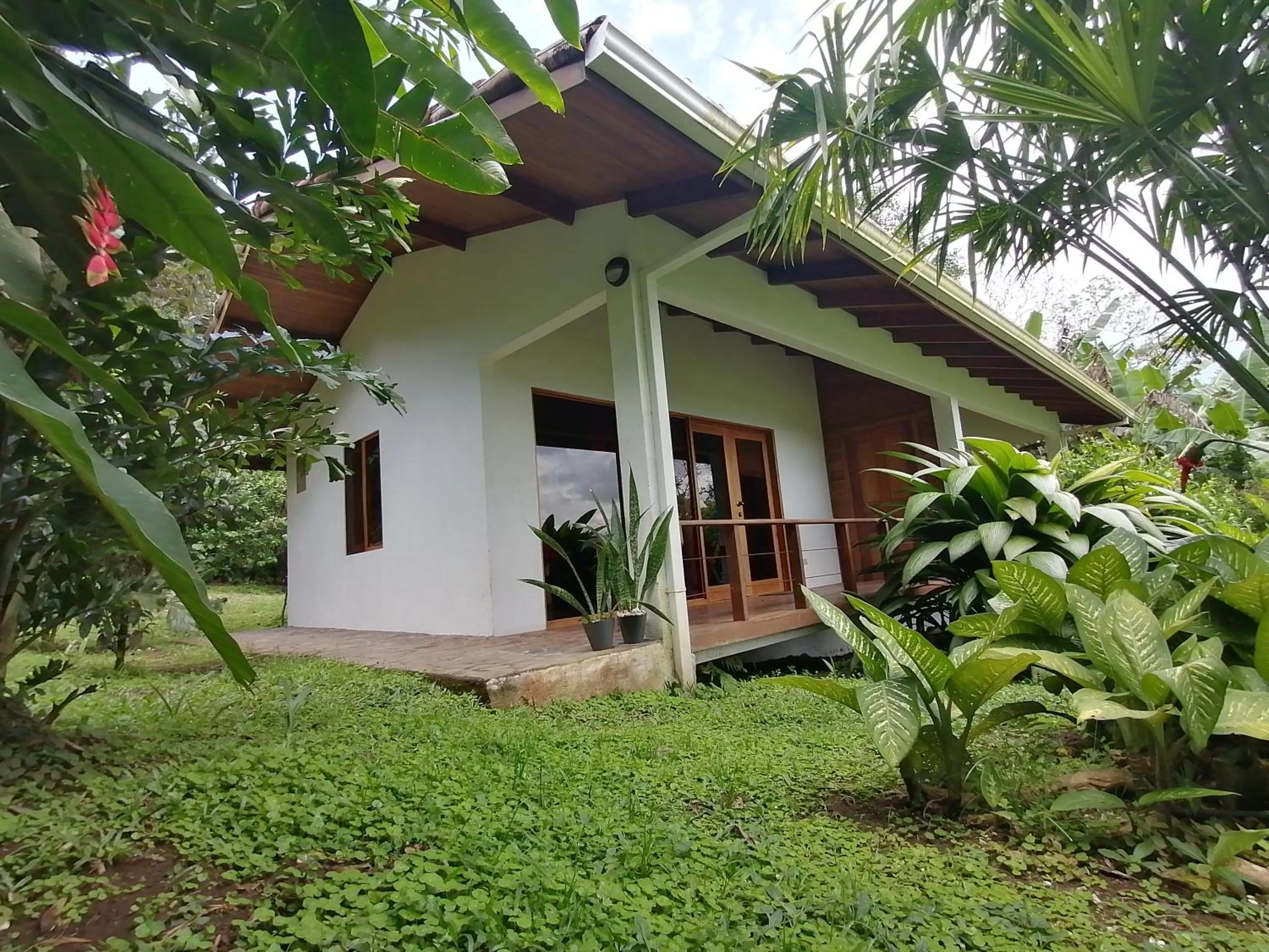 Property Building in La Ceiba Tree Lodge