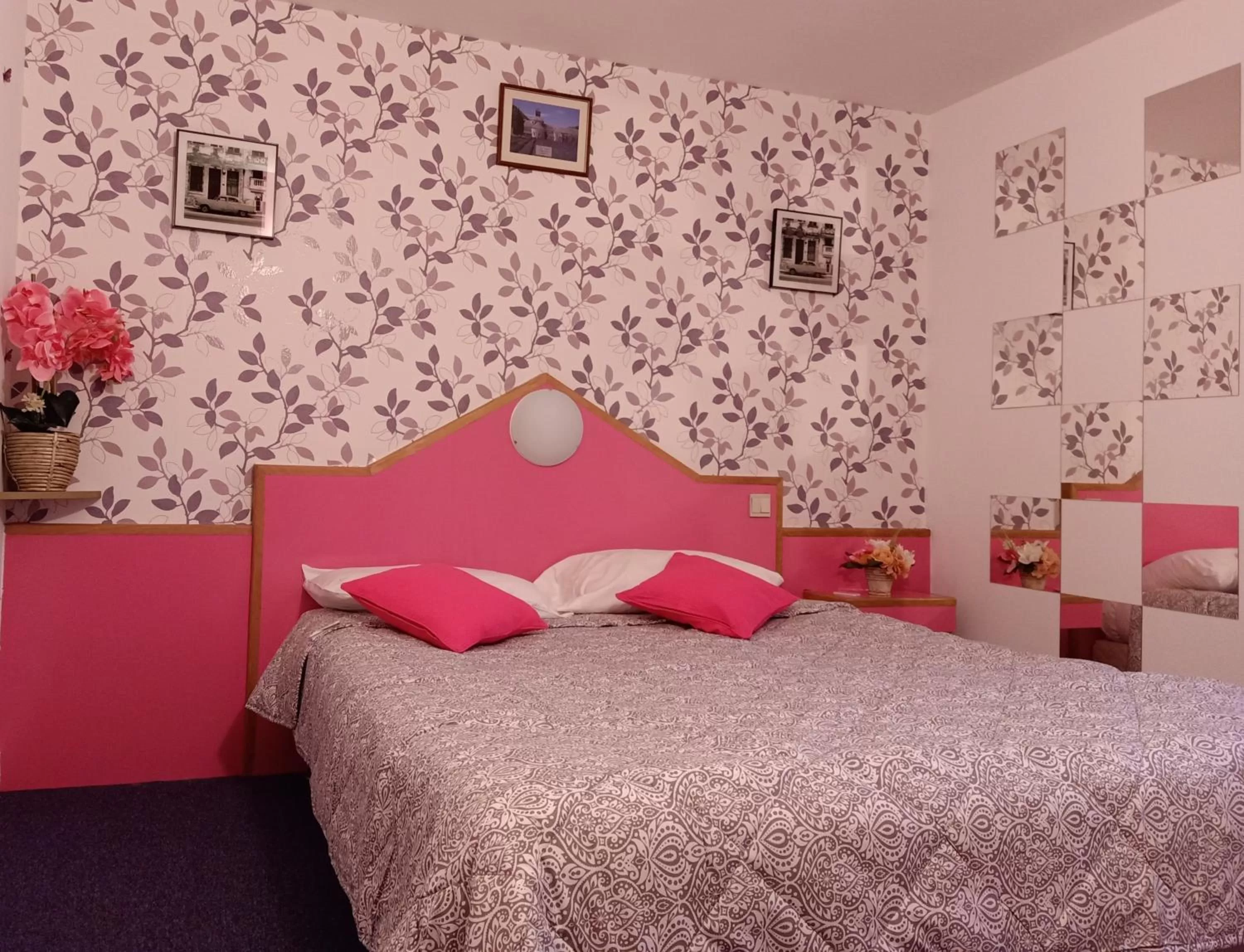 Double Room with Private Bathroom in Astrotel Romorantin-Lanthenay