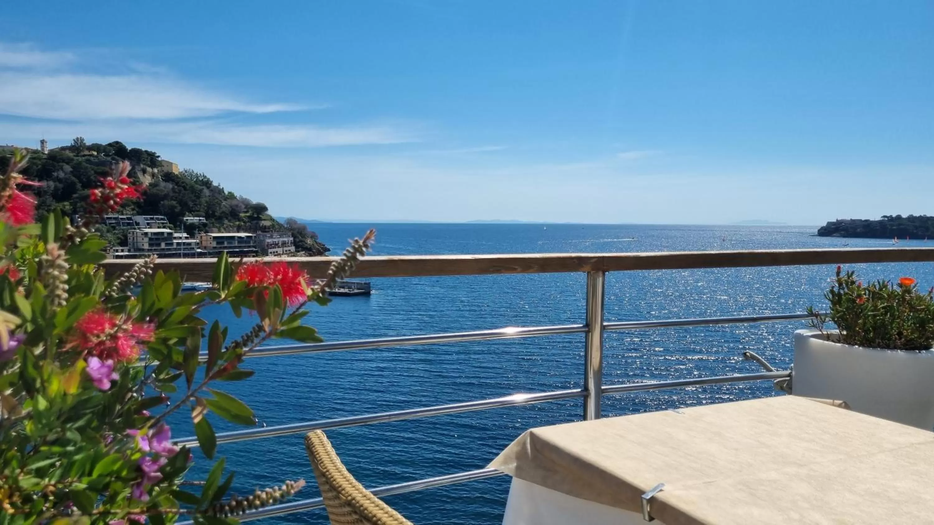 Restaurant/places to eat in Hotel Plaza