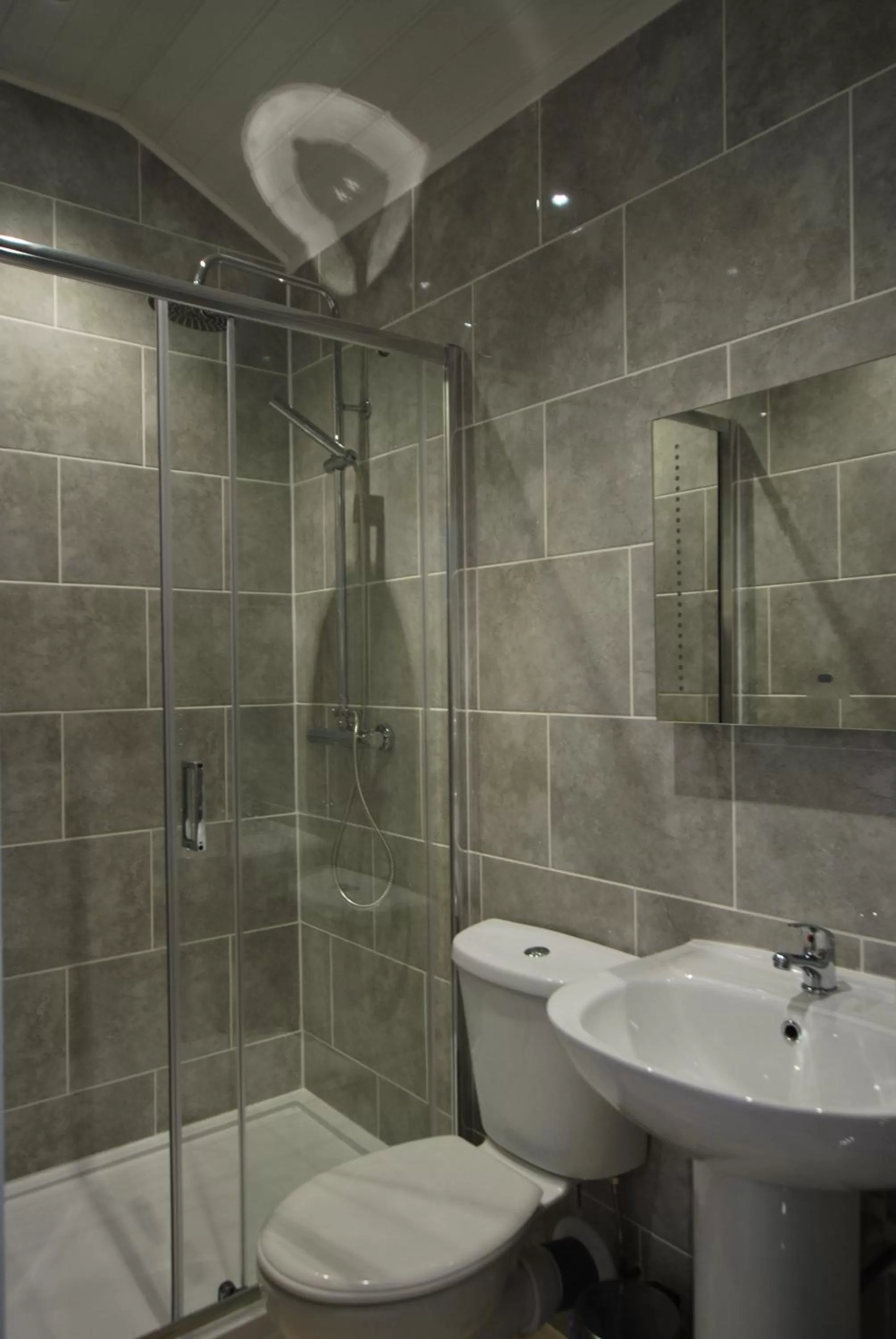 The Lion and The Lamb