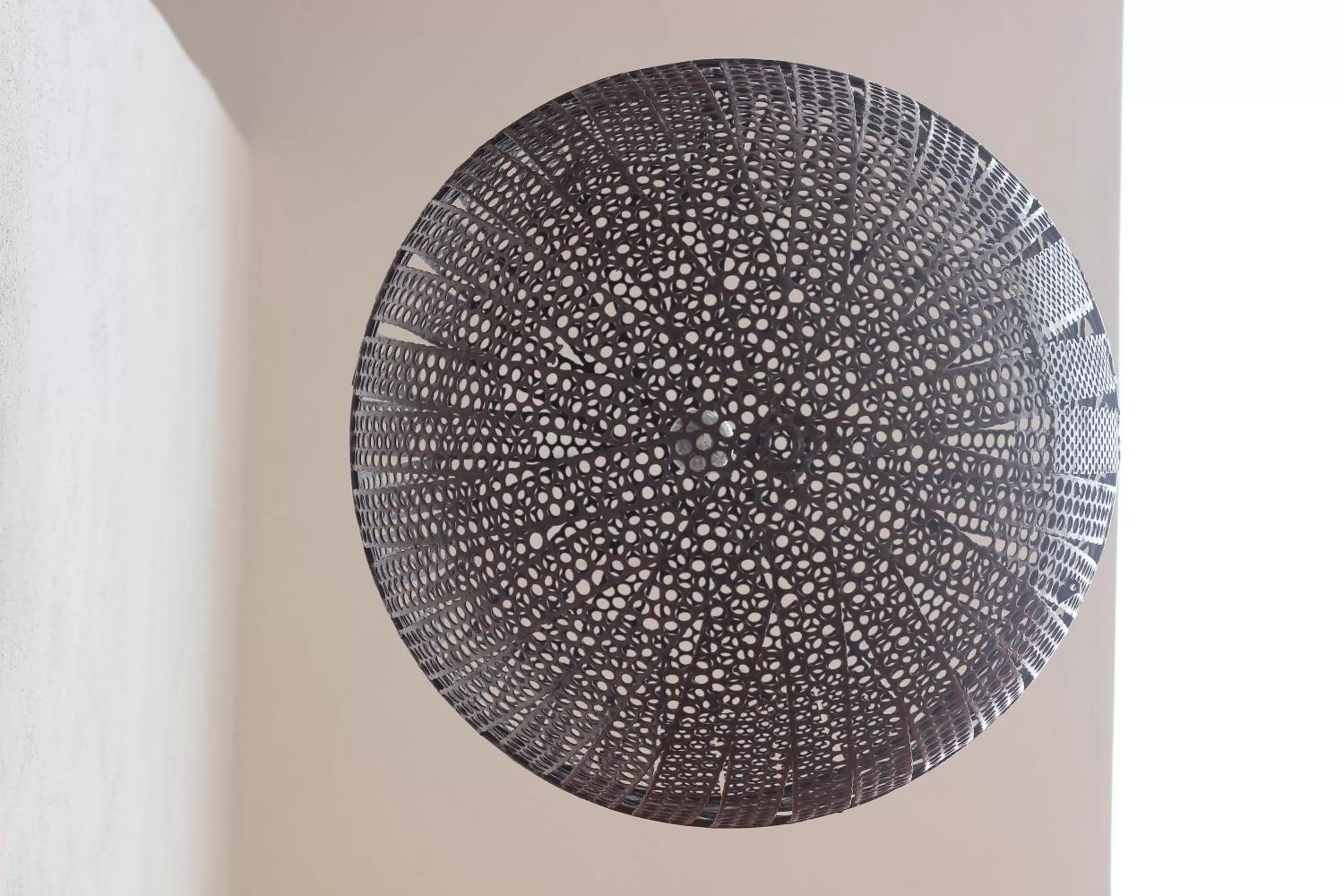 Other in La Casa Carlota