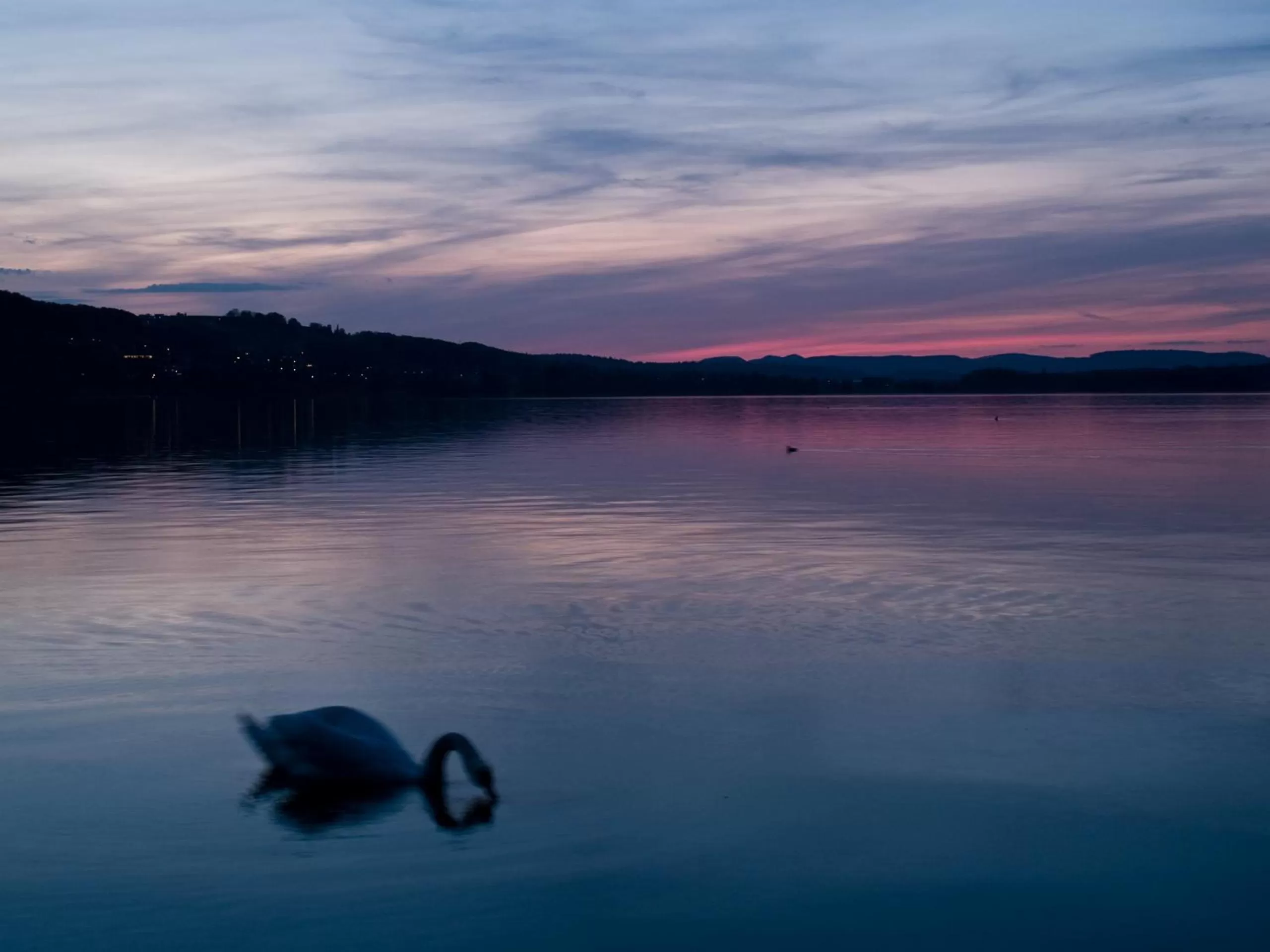 Summer in Seehotel Delphin