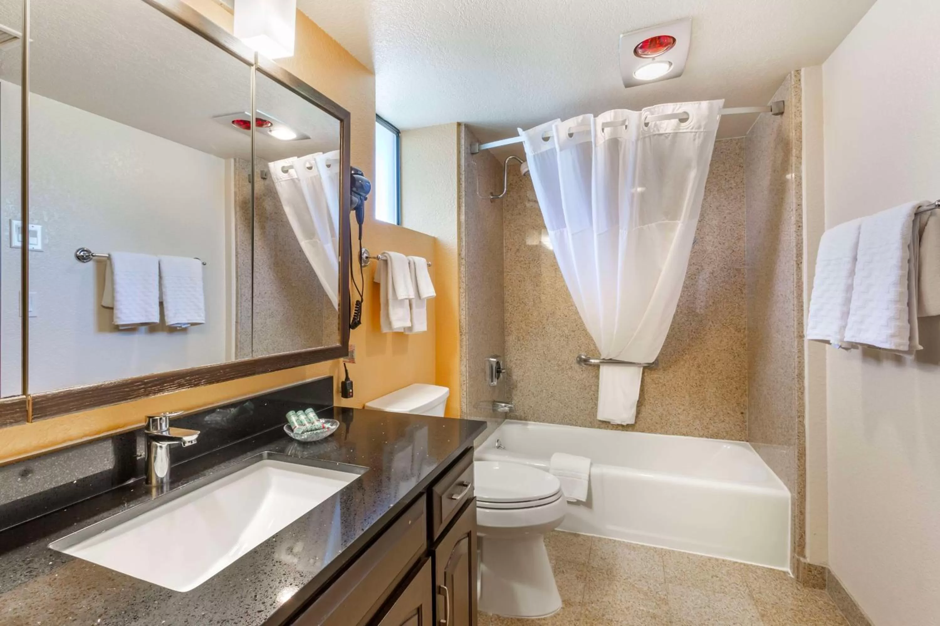 Bathroom in Best Western Arizonian Inn