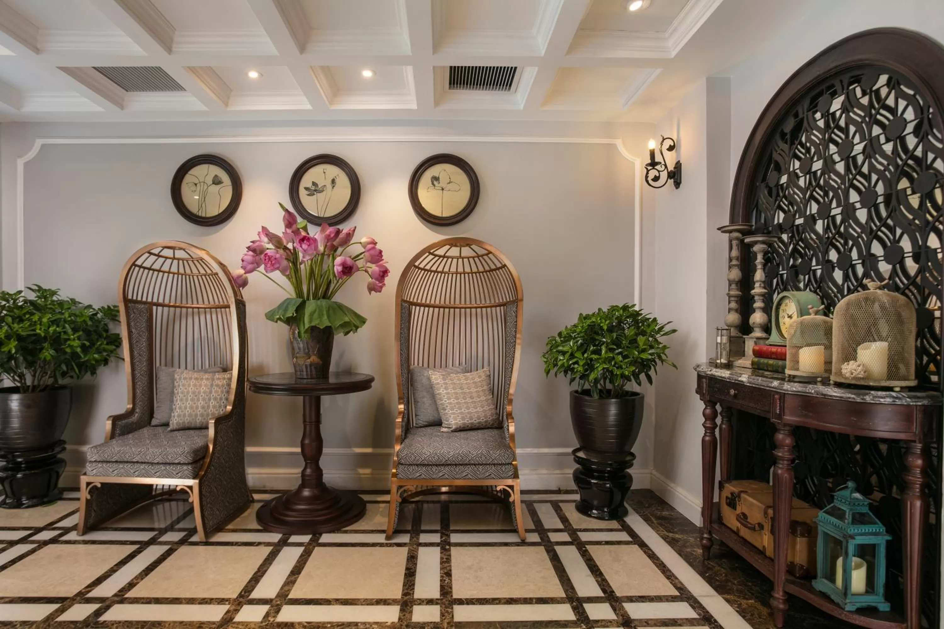 Area and facilities in Canary Hotel