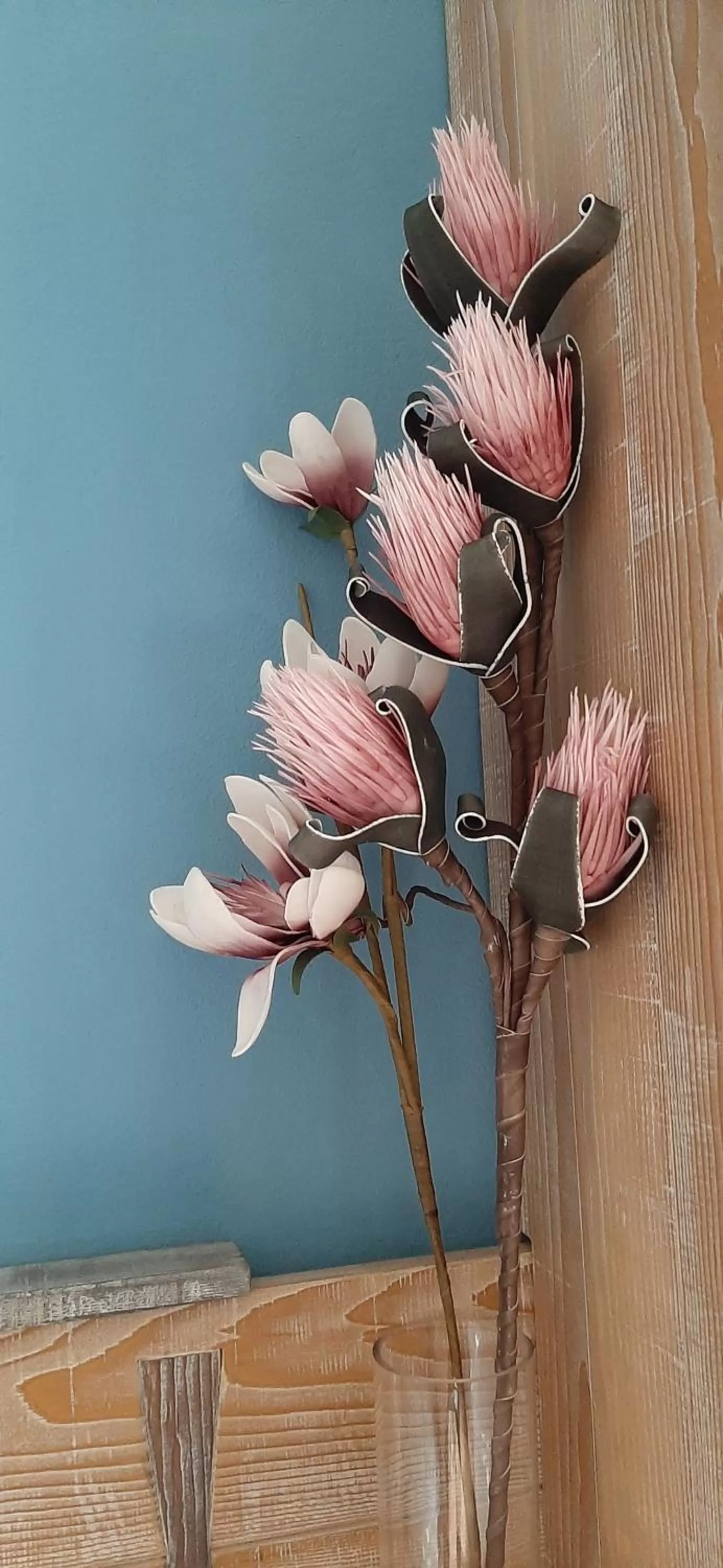 Other Animals in B&B degli Allori