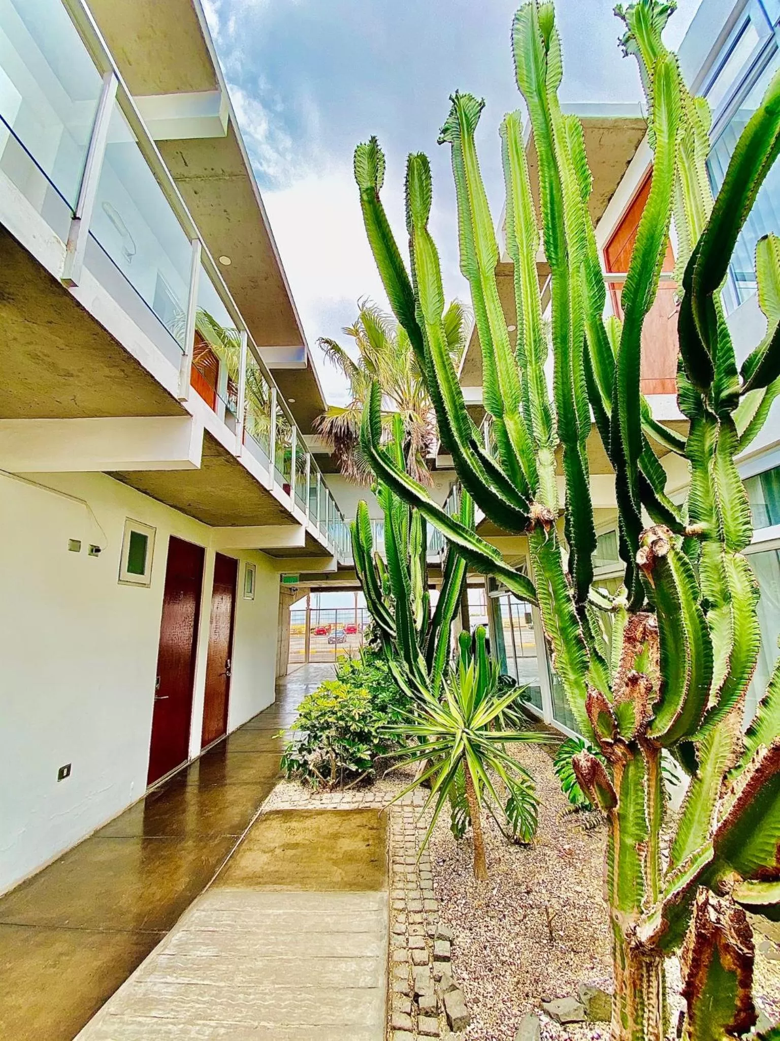 Spring in Hotel Puerto Chinchorro