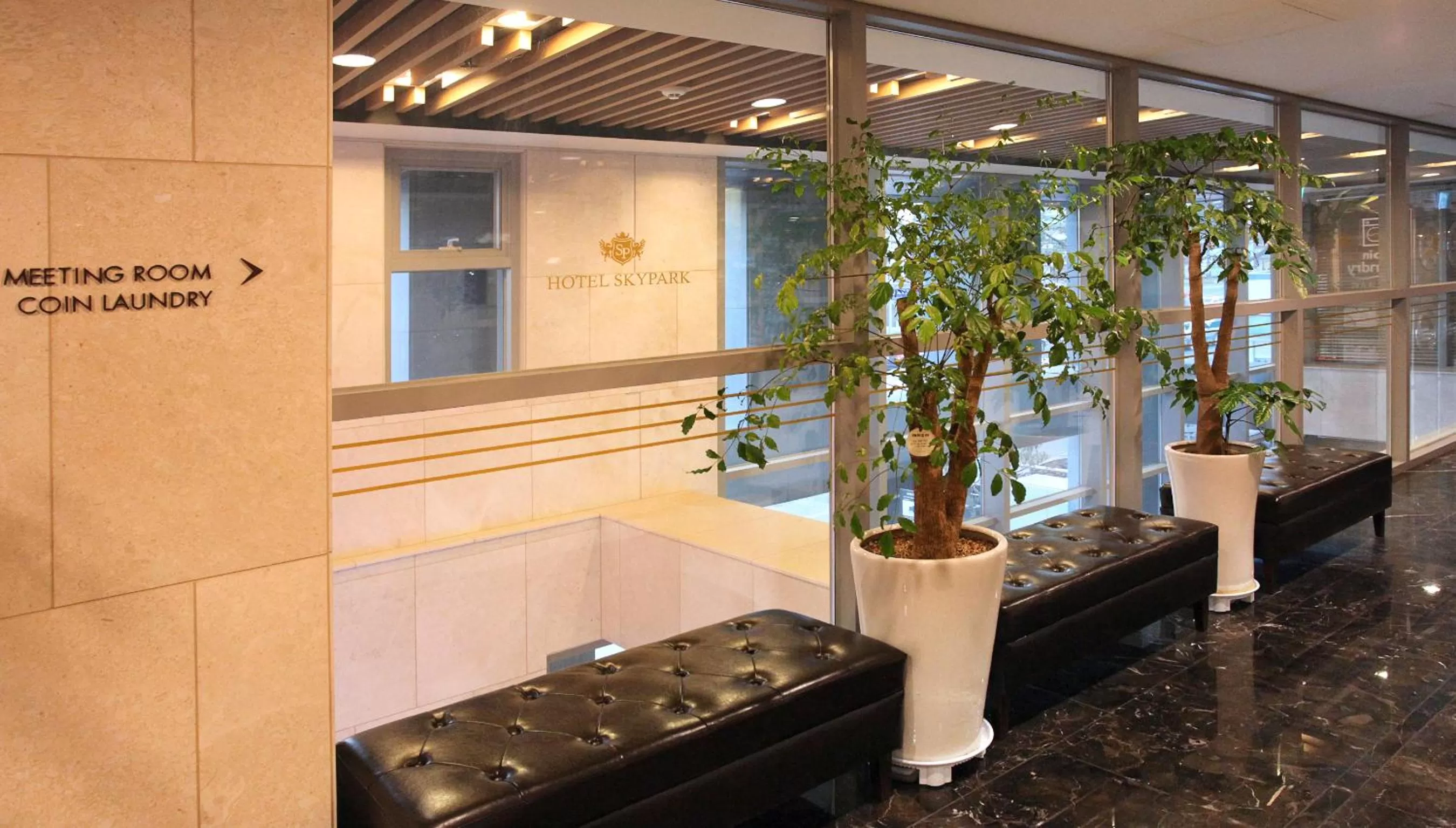 Area and facilities in Hotel Skypark Dongdaemun I