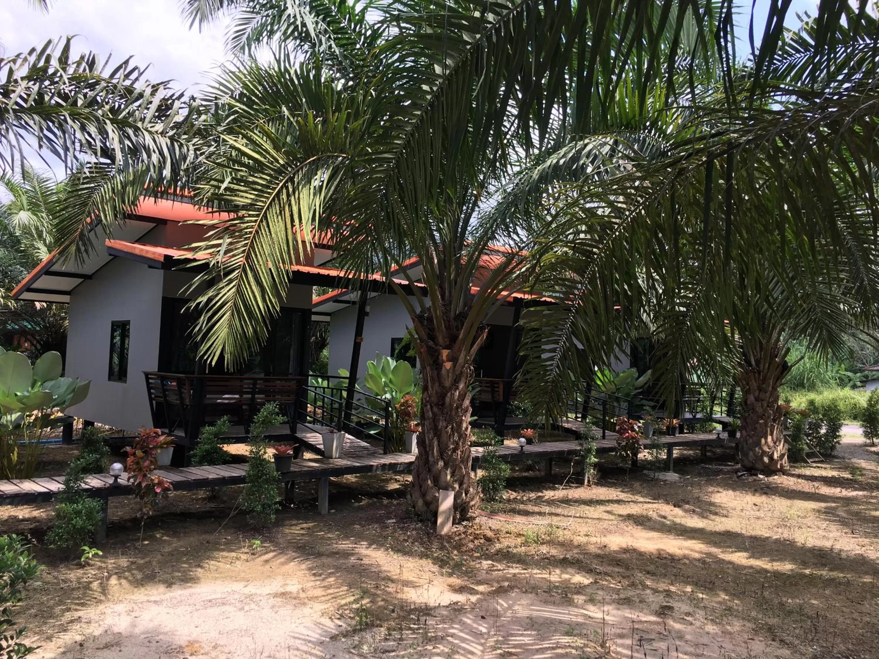 Natural landscape in Khao Sok Residence Resort