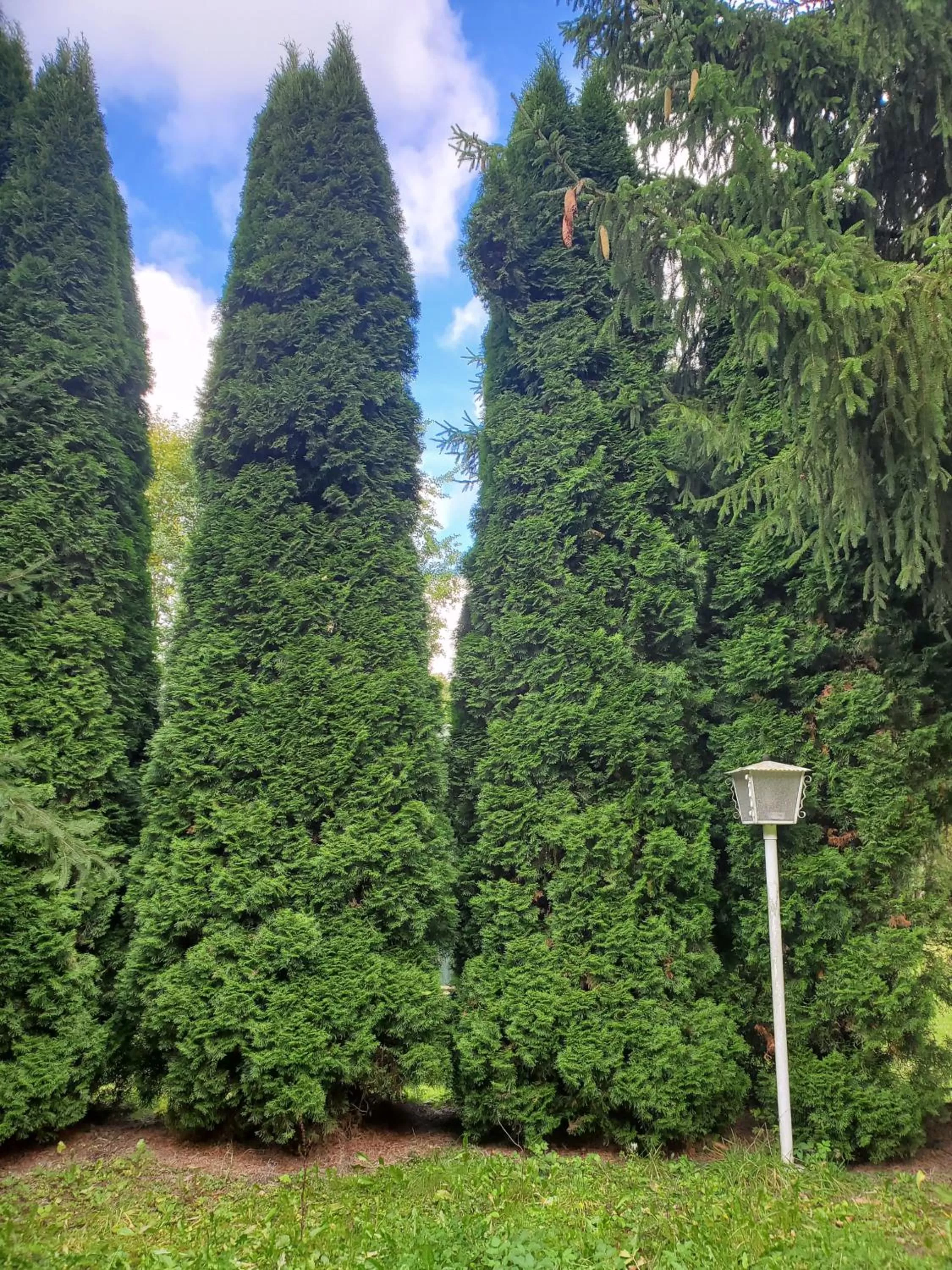 Day in Hotel Bielatal