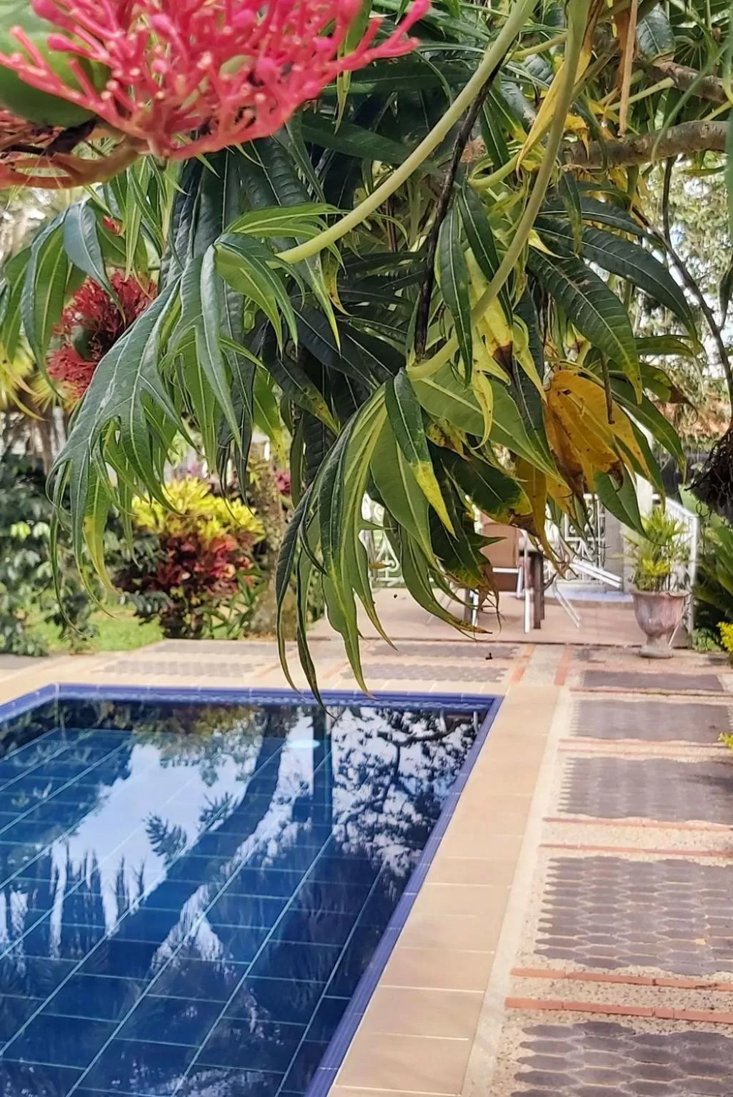 Pool view in Balsora Hotel Boutique