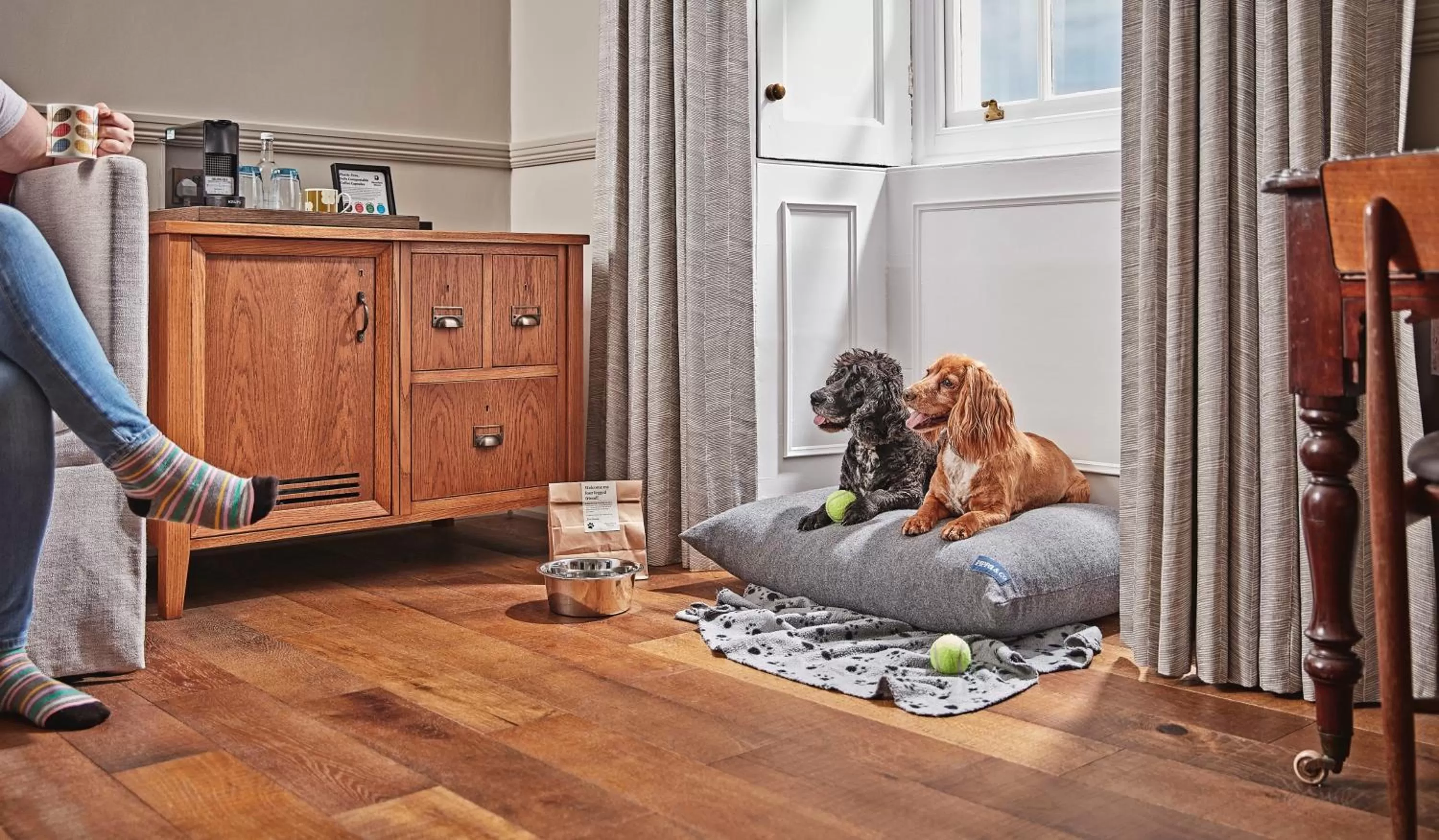 Pets in Moonfleet Manor Hotel