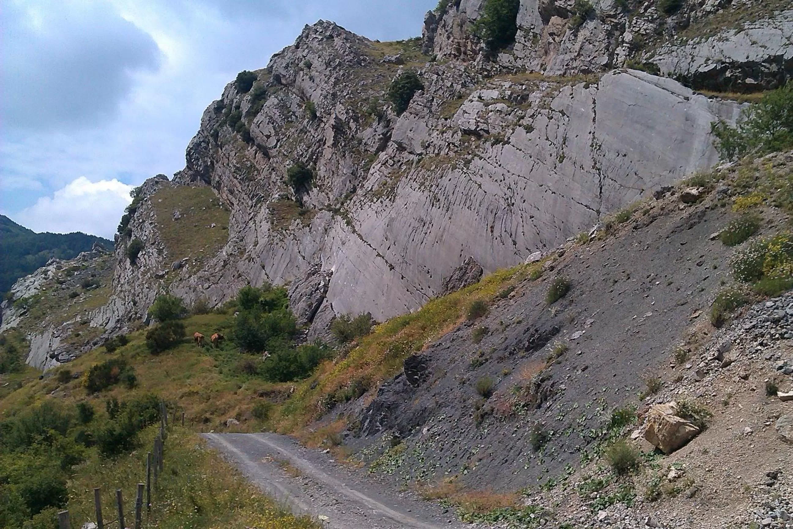 Area and facilities in B&B Esperança