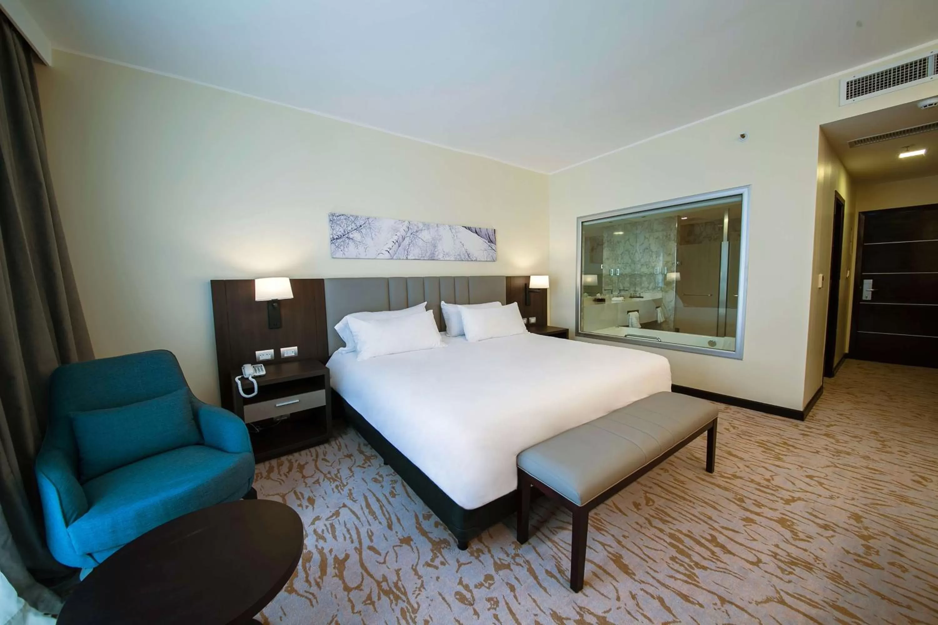 Photo of the whole room, Bed in Hilton Garden Inn Santiago Del Estero - HILTON HOTELS