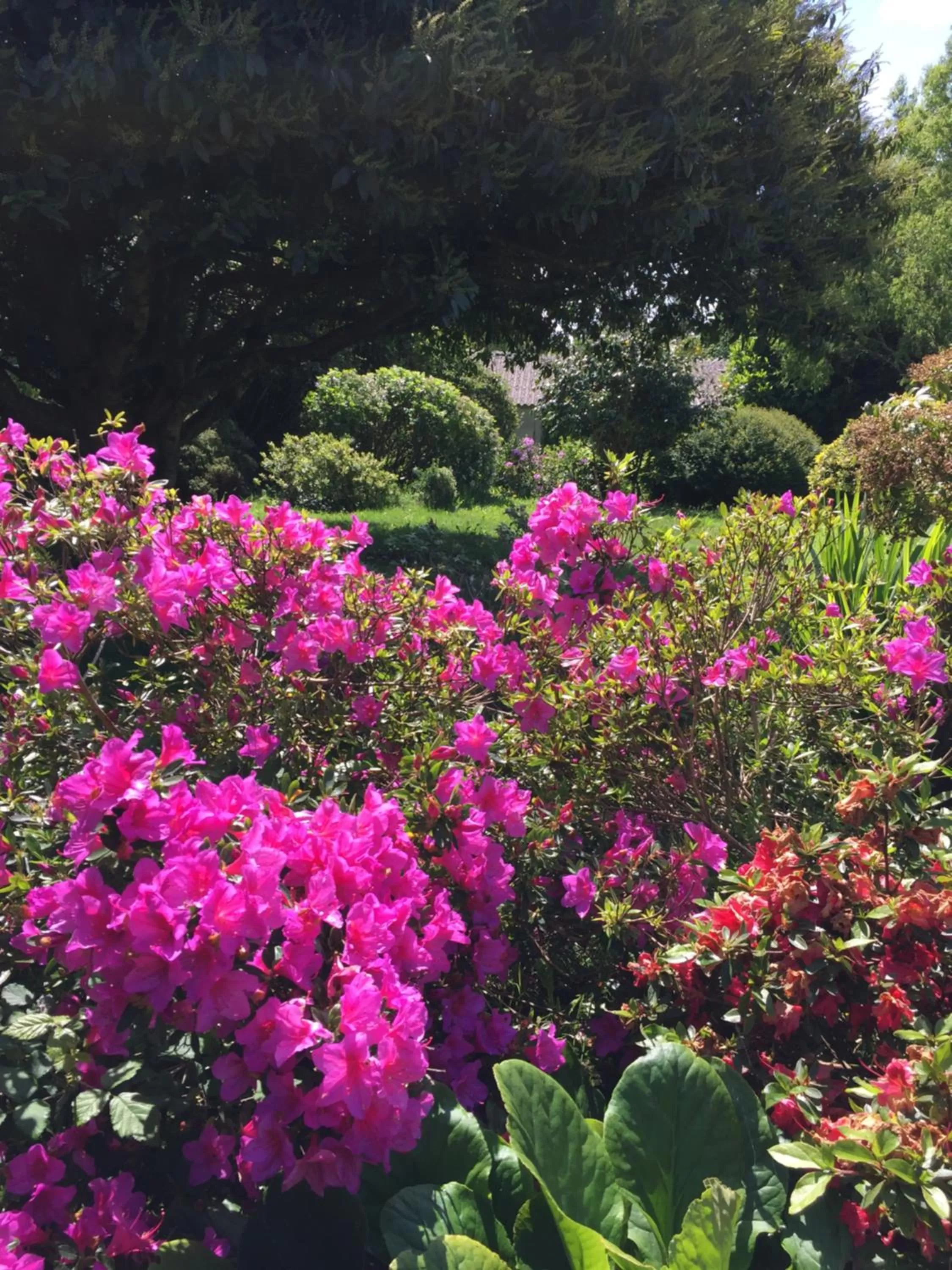 Garden view in Les 3 Koïs