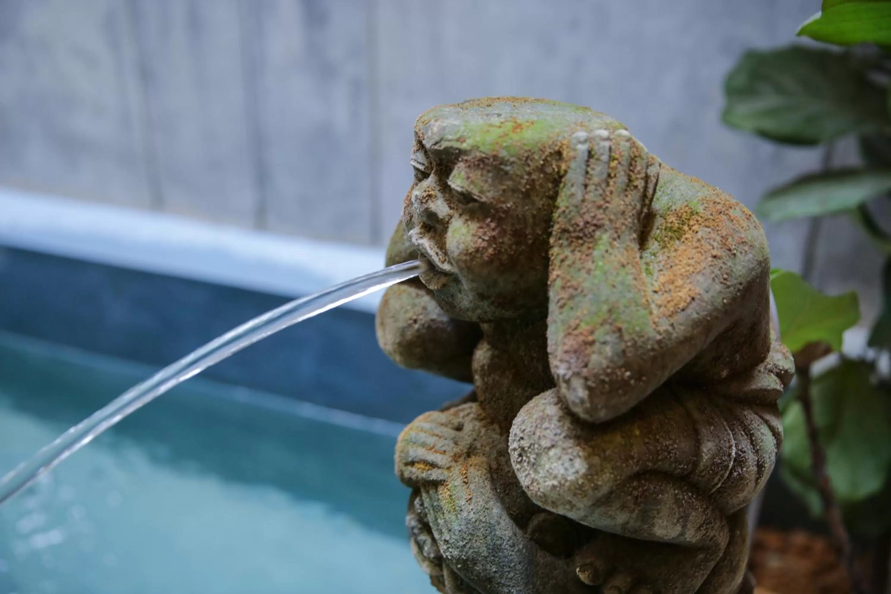 Decorative detail in 1825 Gallery Hotel