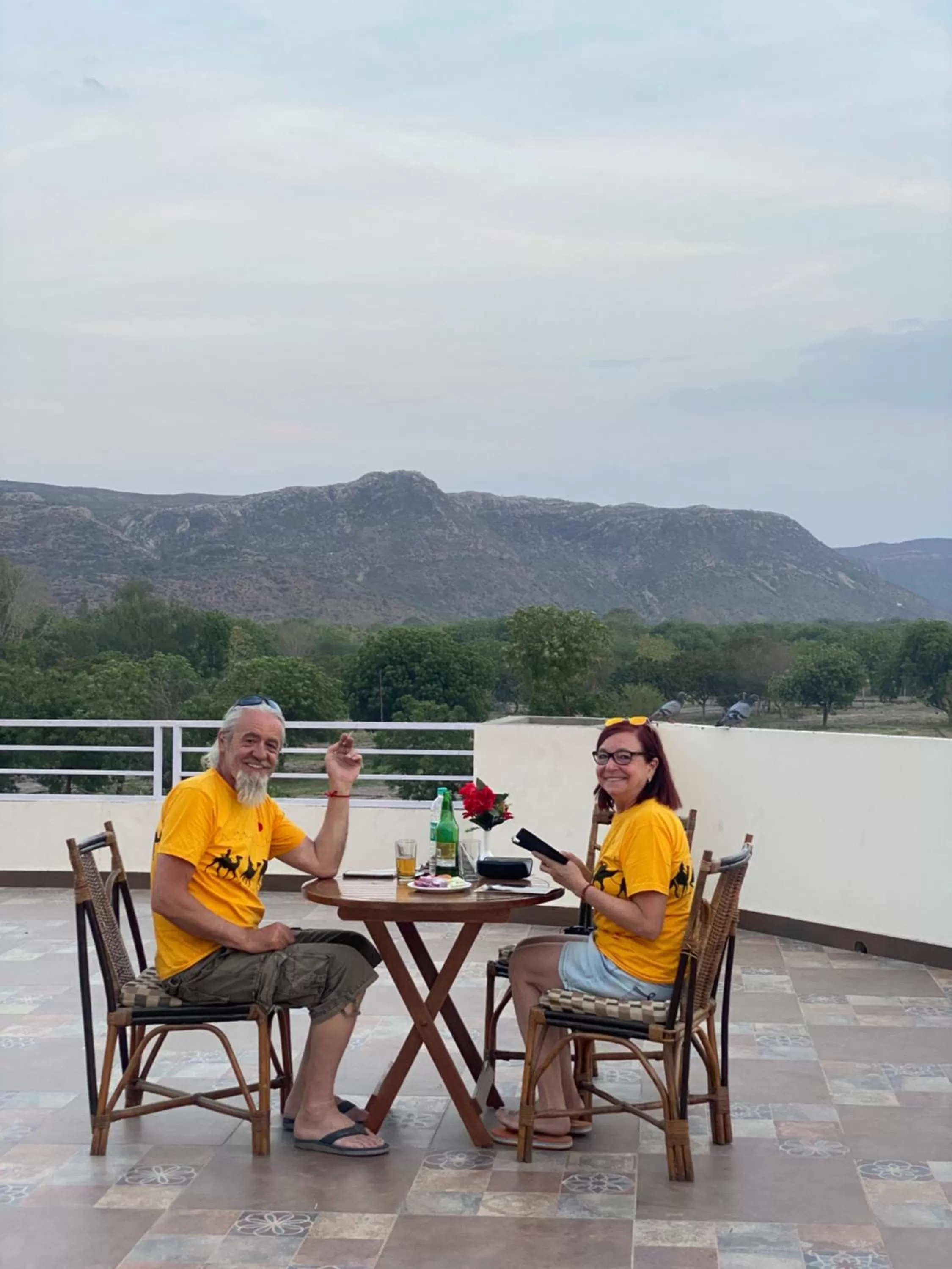 View (from property/room) in Hotel Saif Ranthambhore