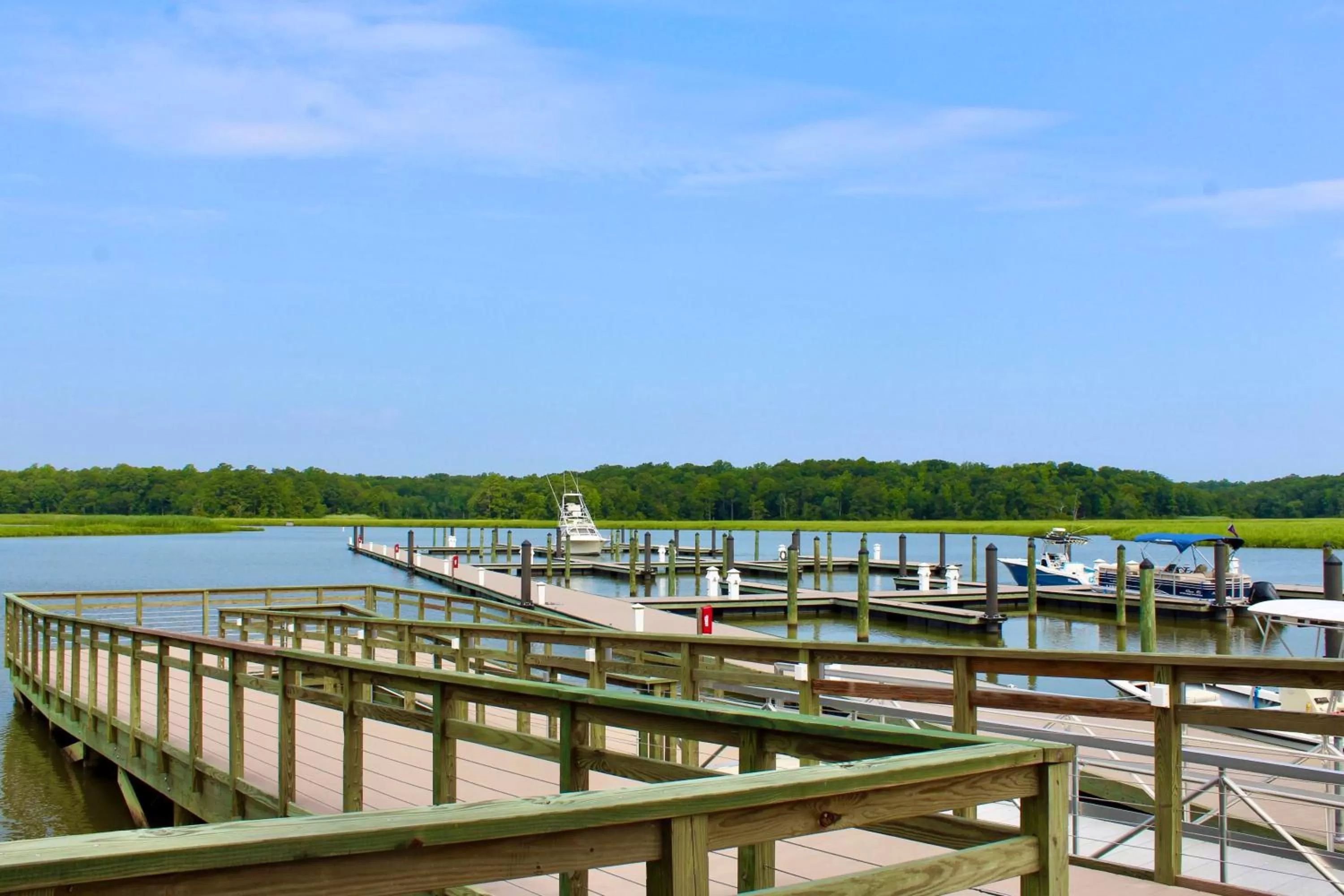 River view in Surry Seafood Company