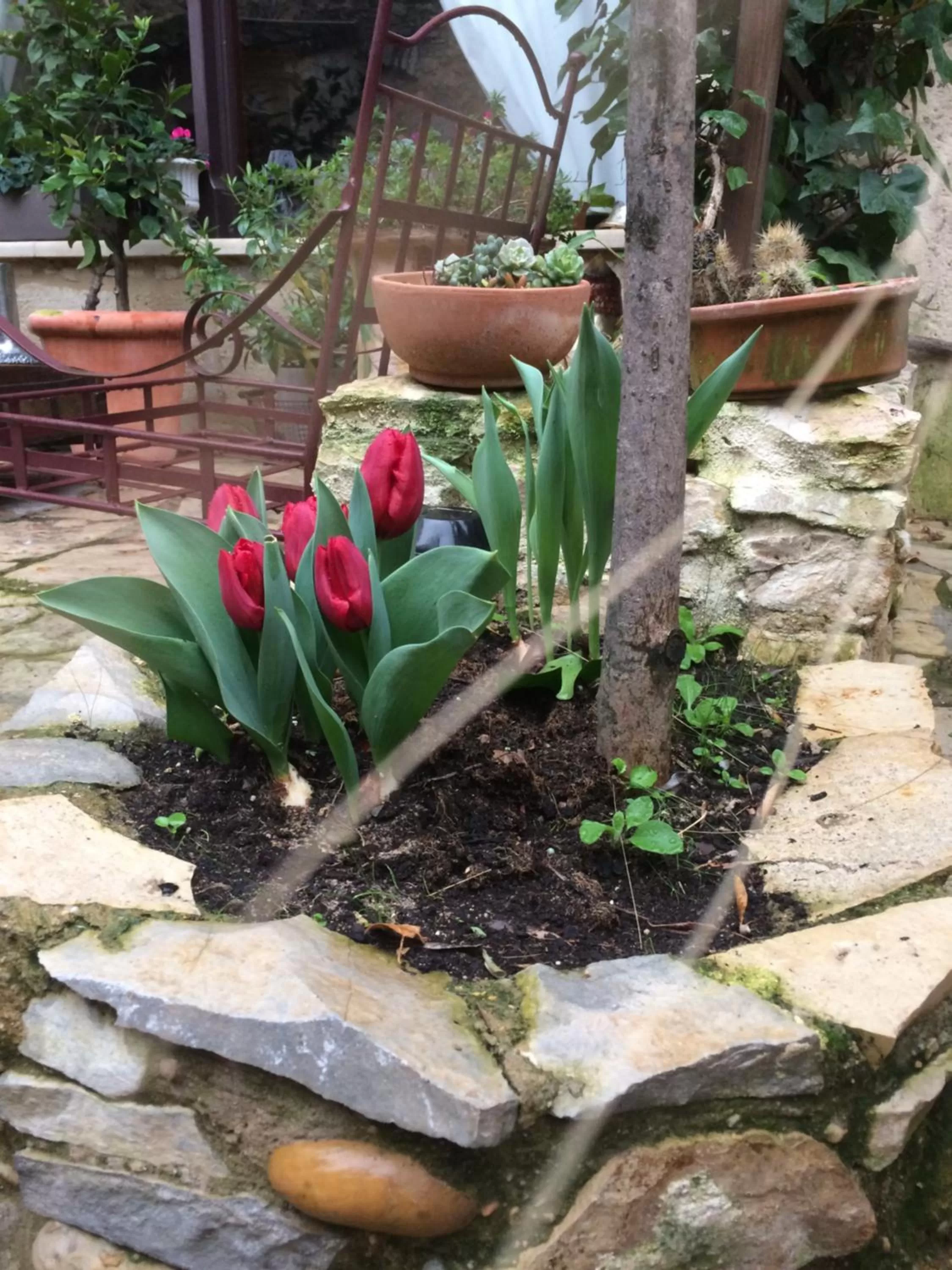 Patio in Hotel Le Saint Laurent