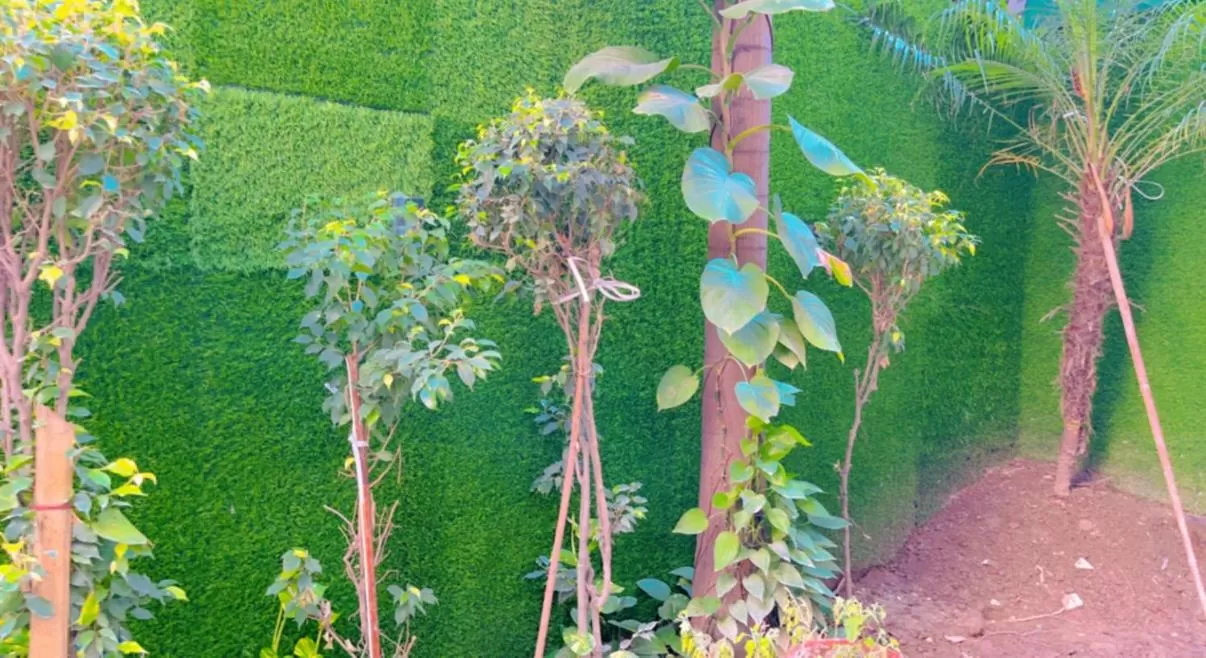 Garden in City View With Garden -5 Mins Walk From GOLDEN TEMPLE