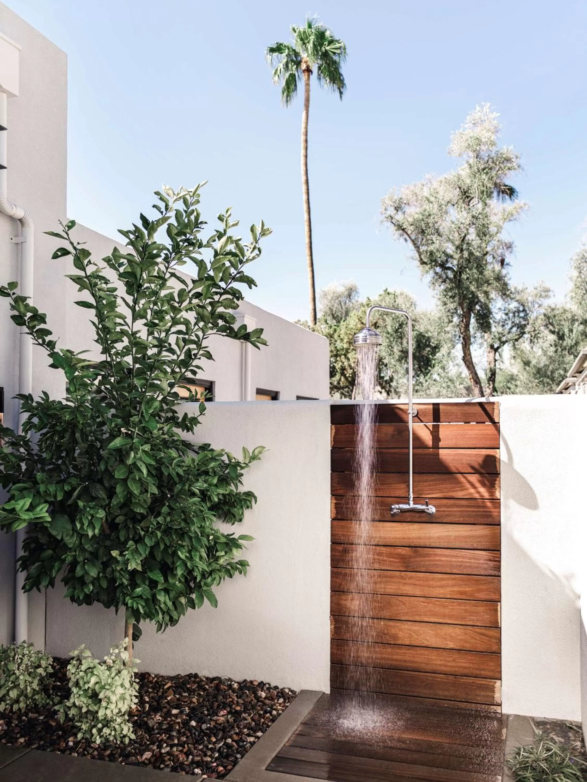 Photo of the whole room in Andaz Scottsdale Resort & Bungalows