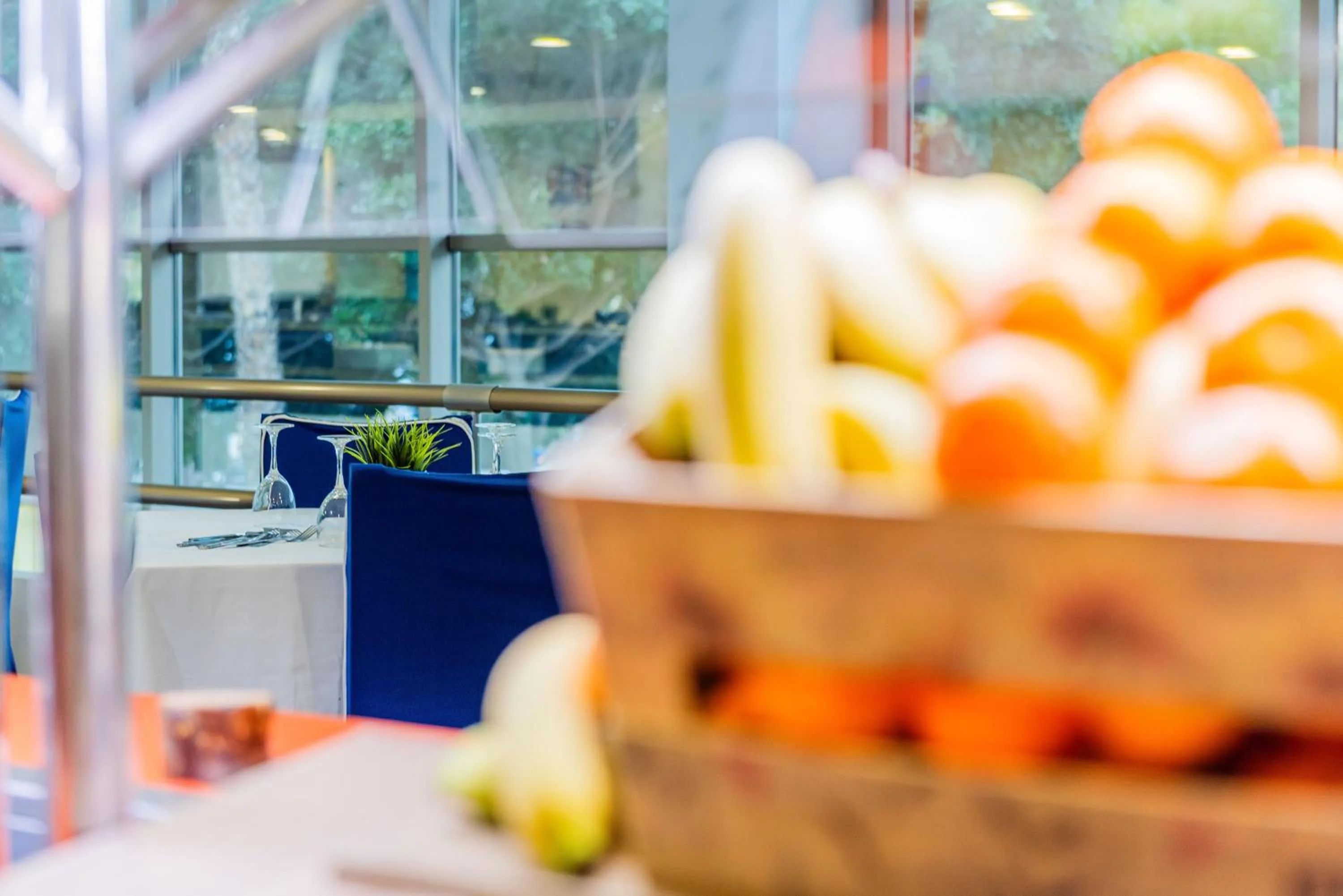 Restaurant/places to eat in Hotel Toboso Almuñécar