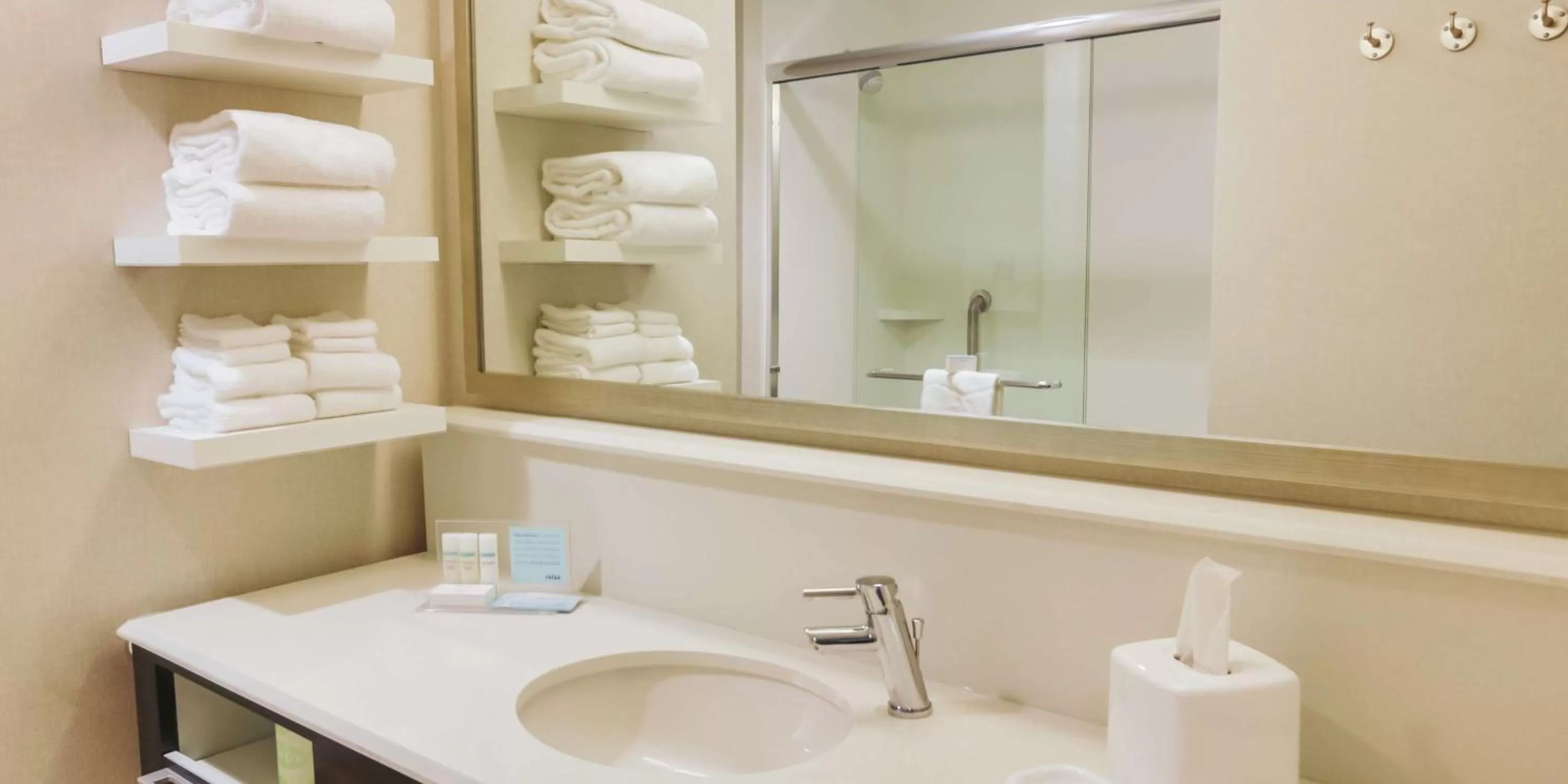 Bathroom in Hampton Inn & Suites Charlotte/Ballantyne, Nc