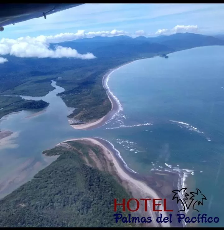 Hotel Palmas del Pacifico