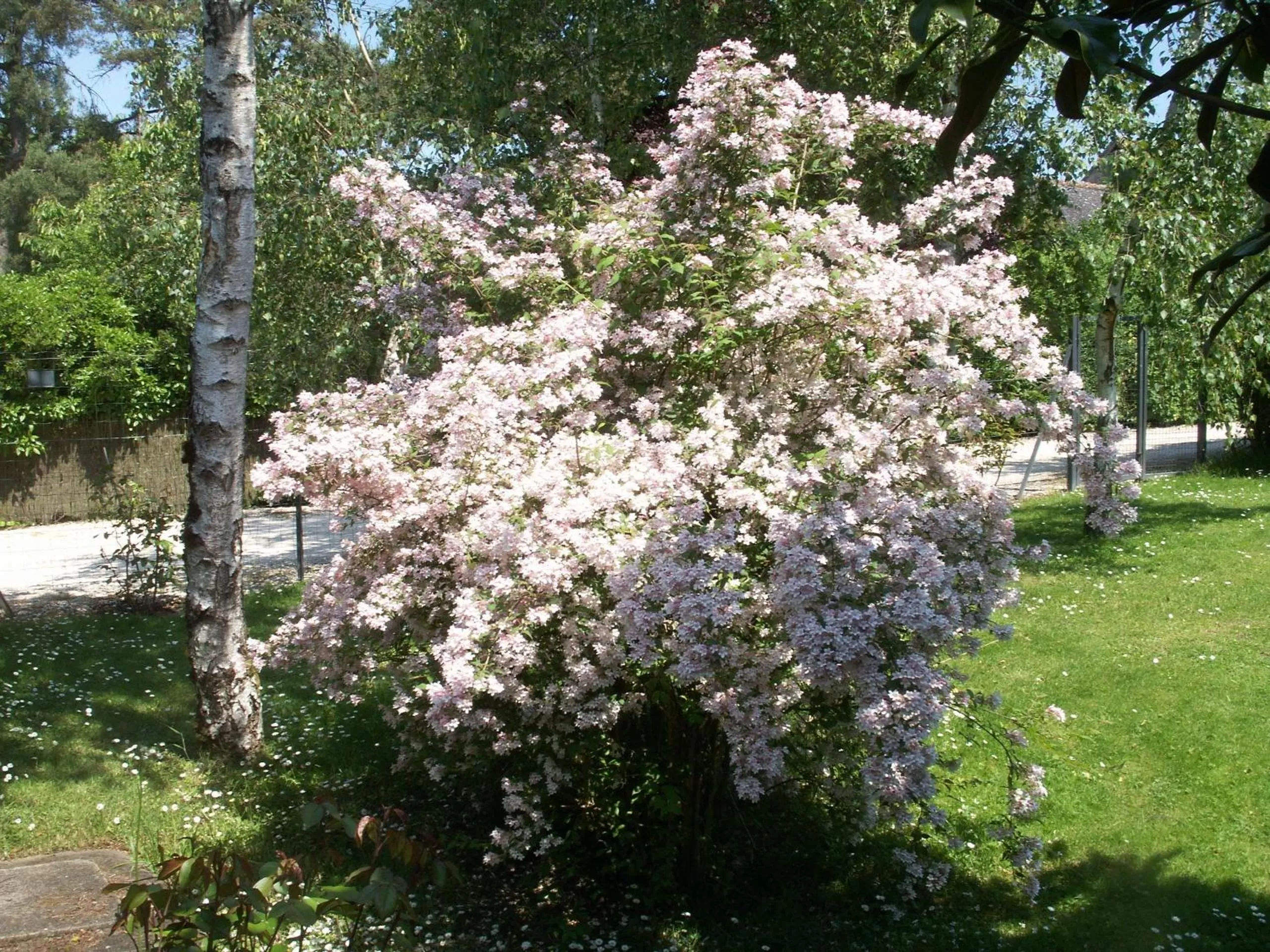 Garden in Le Clos des Perraudières