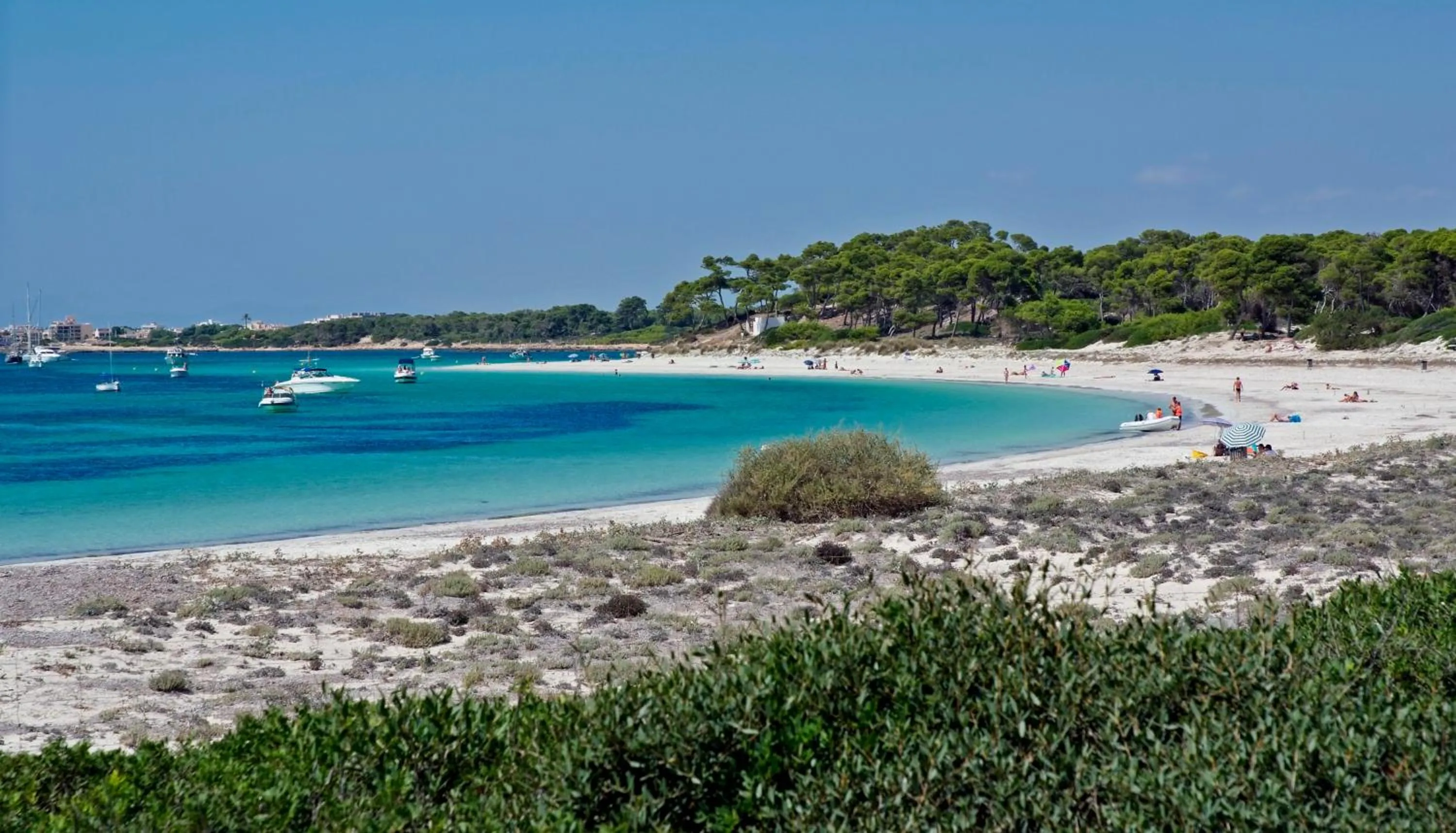 Area and facilities, Beach in Hotel Isla de Cabrera