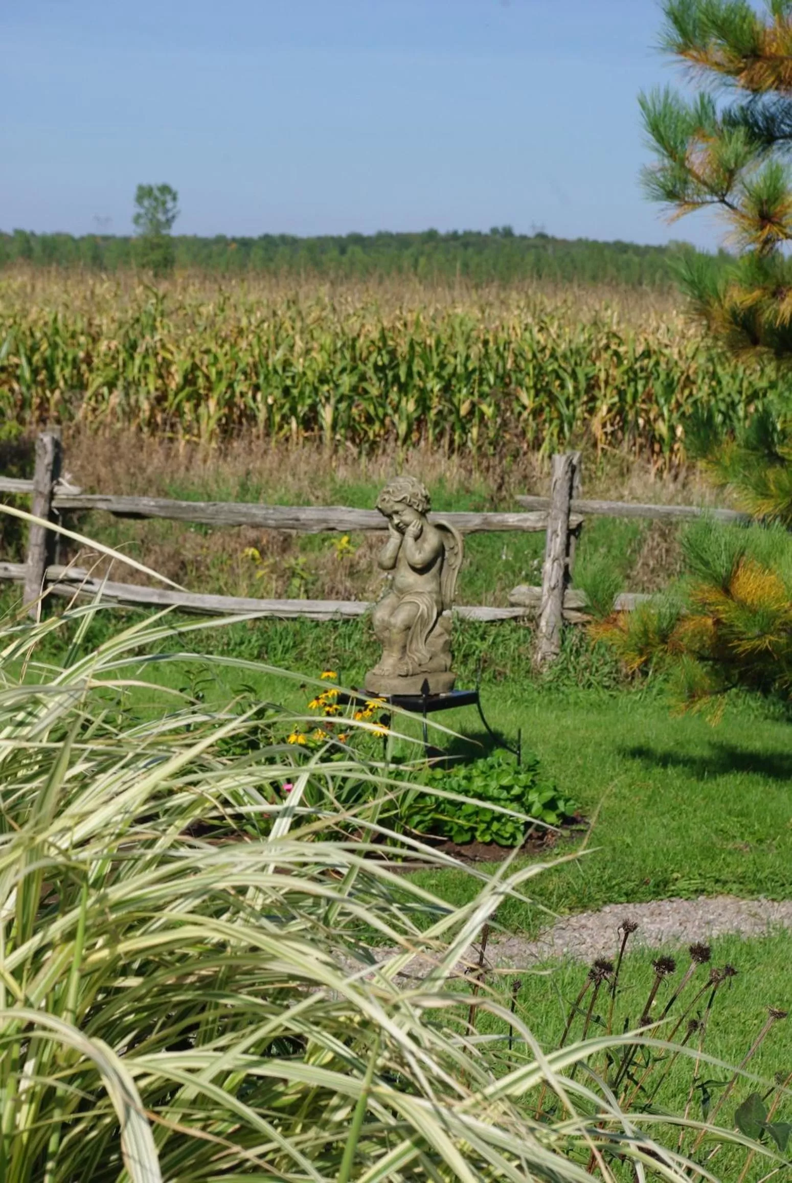 Garden, Other Animals in Atelier Galerie Anne Drouin Peinture & Pension