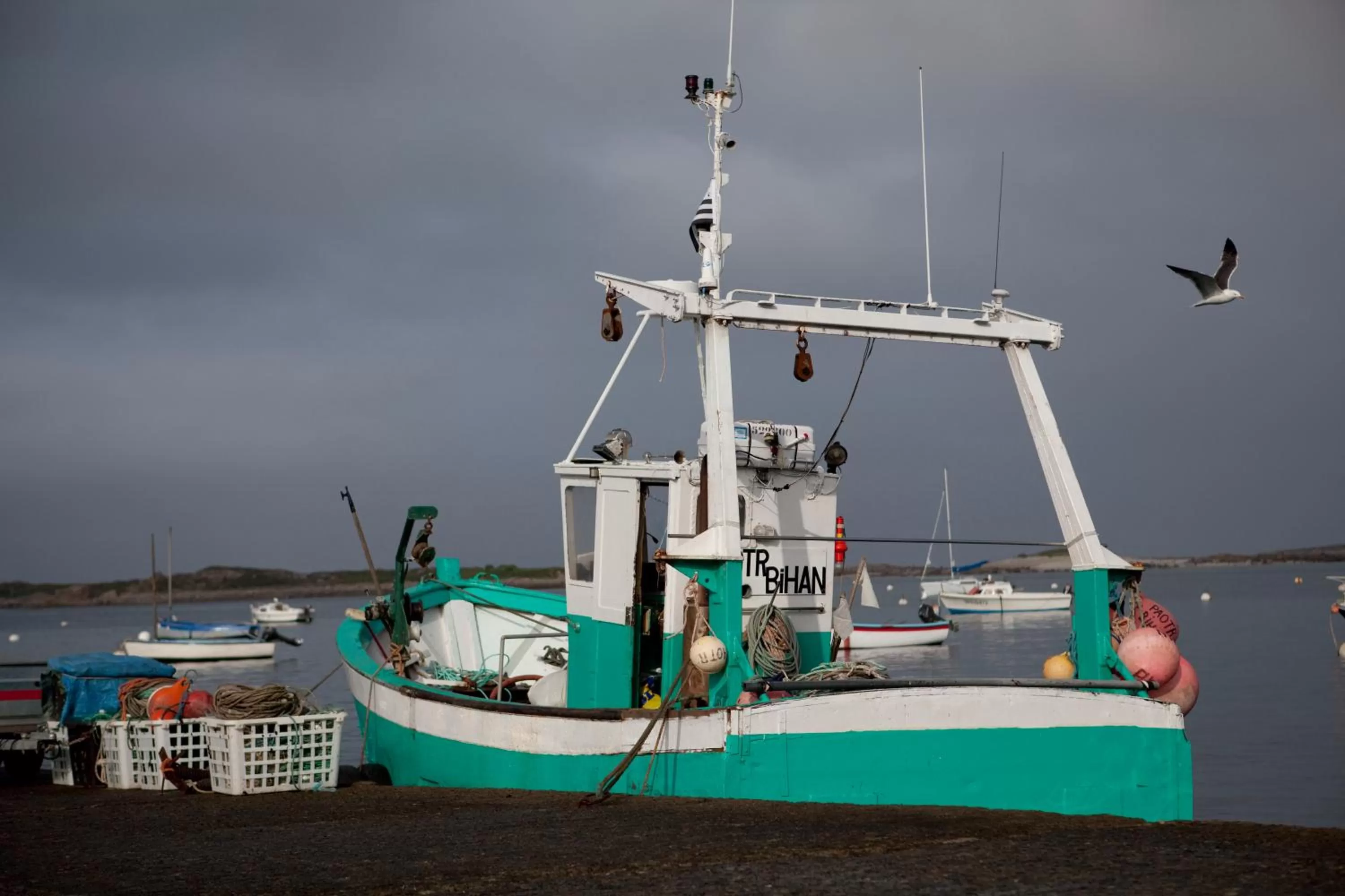 Area and facilities in Hotel Le Toeno