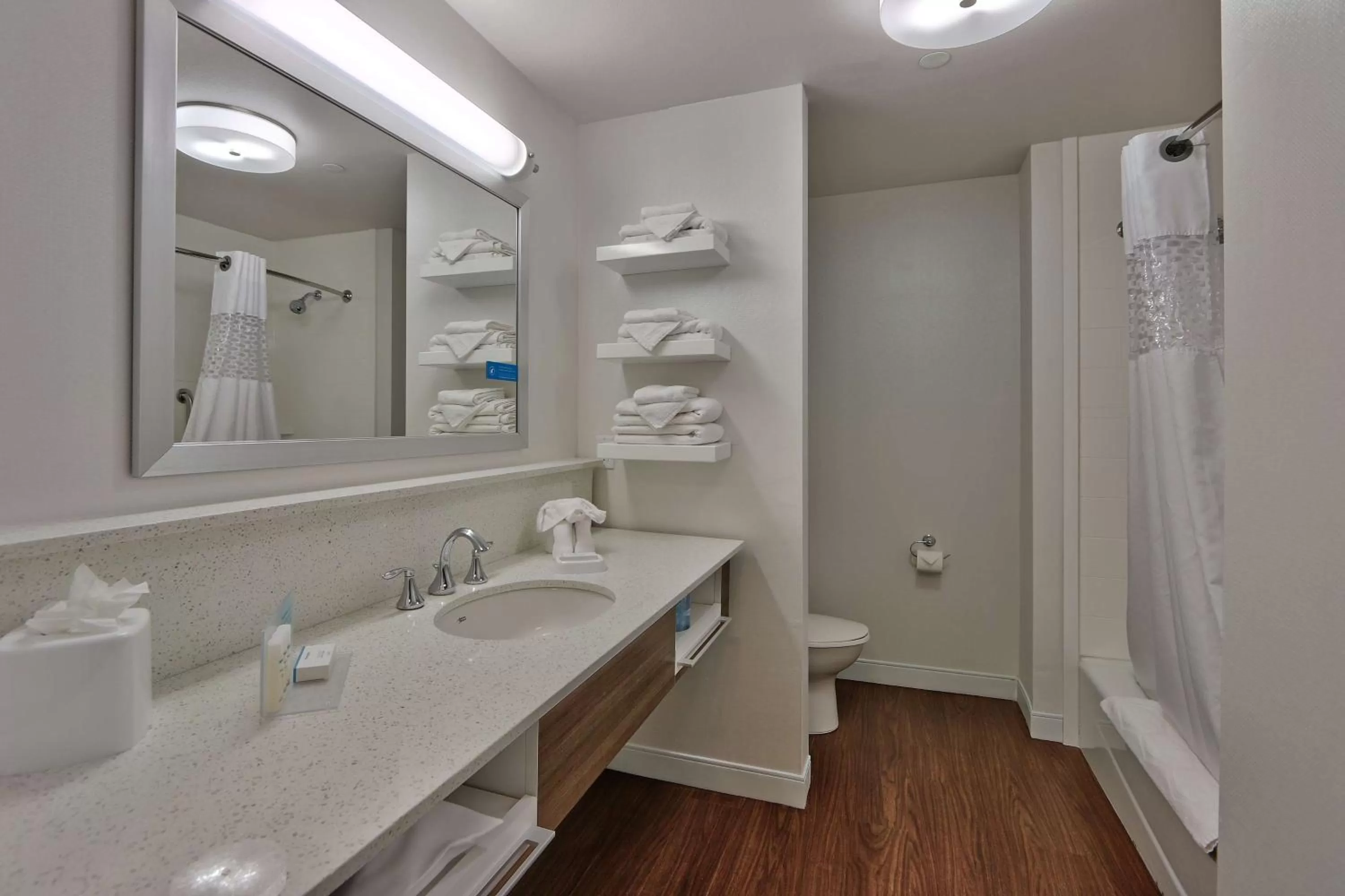 Bathroom in Hampton Inn & Suites Las Cruces I-10, Nm