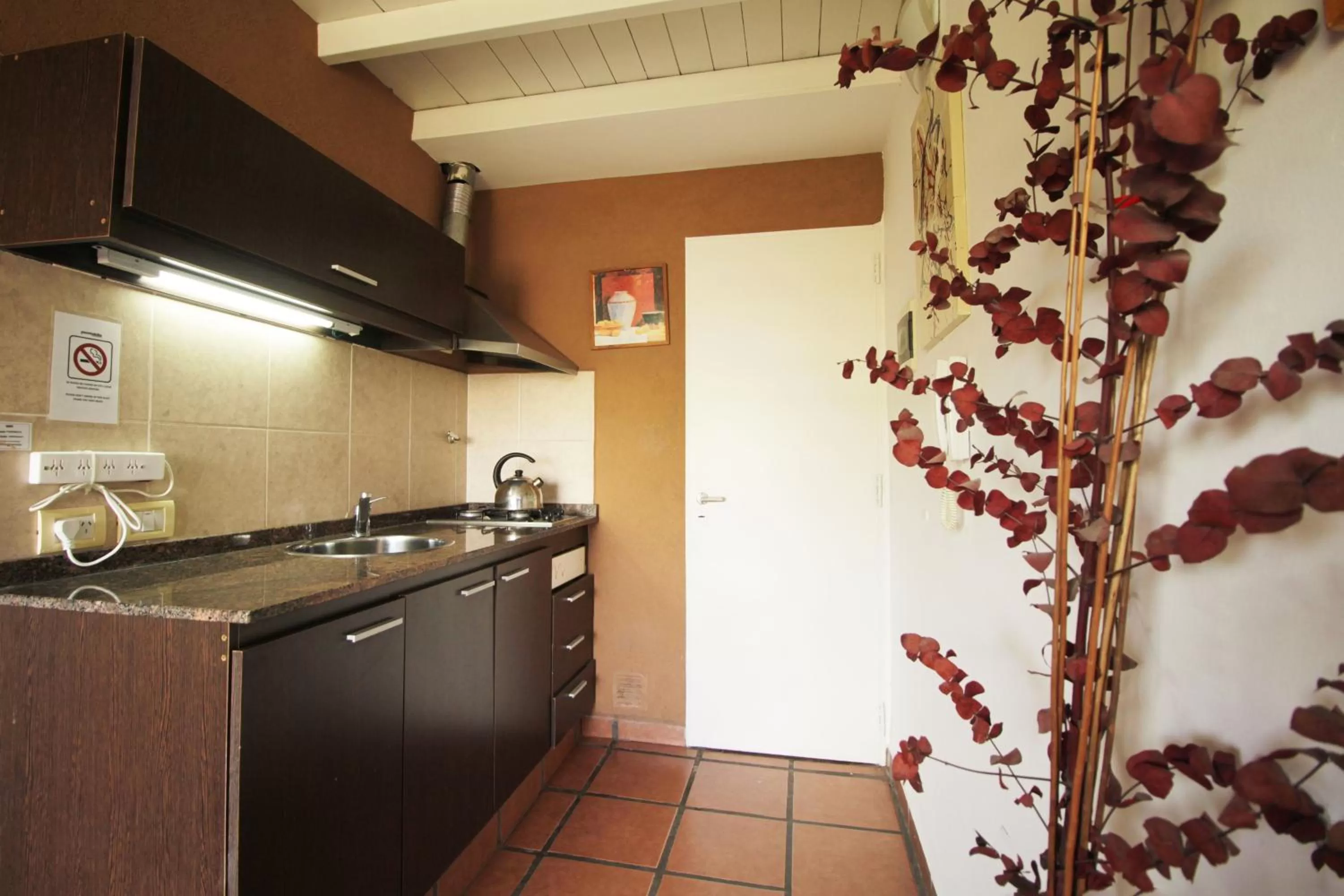Kitchen or kitchenette in Puerto Delta